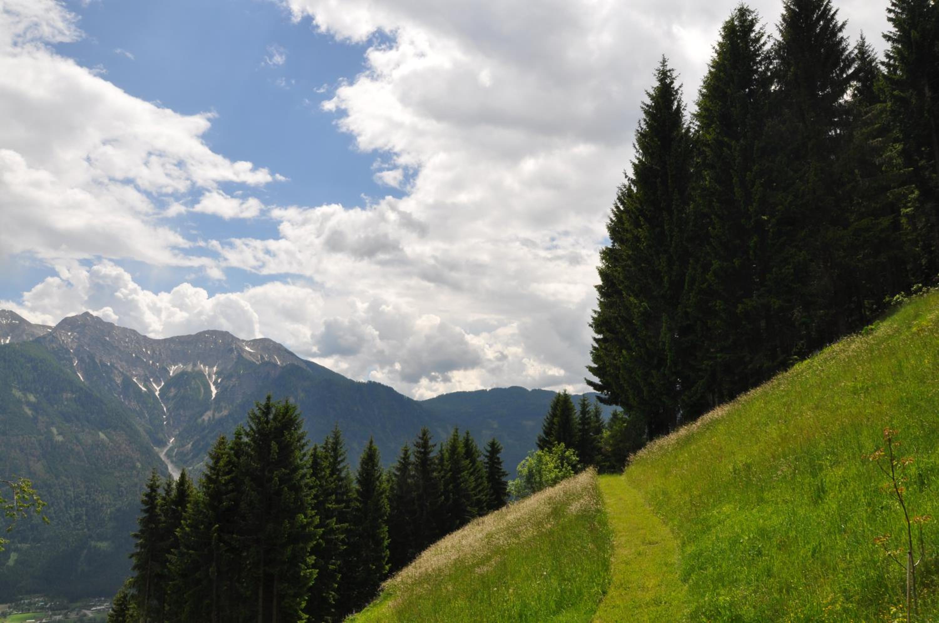 Almen-Kräuter-Oberreiter