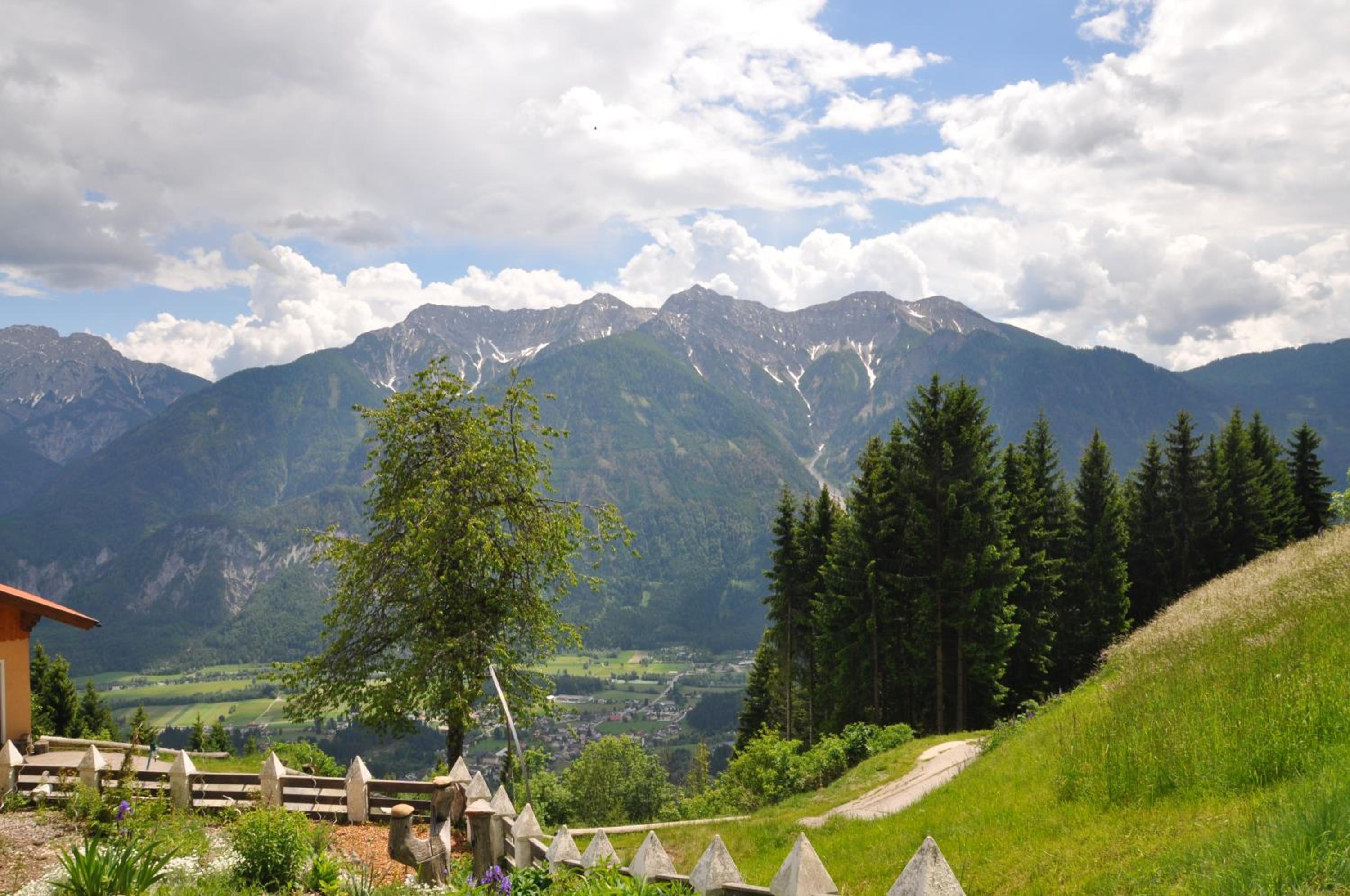 Almen-Kräuter-Oberreiter