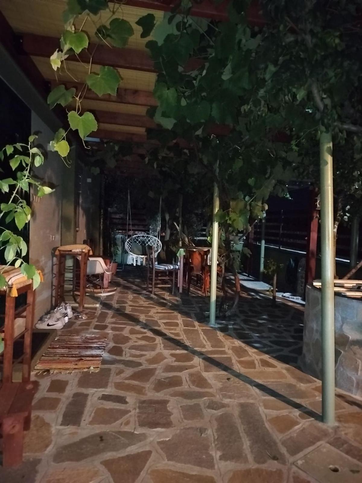 Green Olive Studios