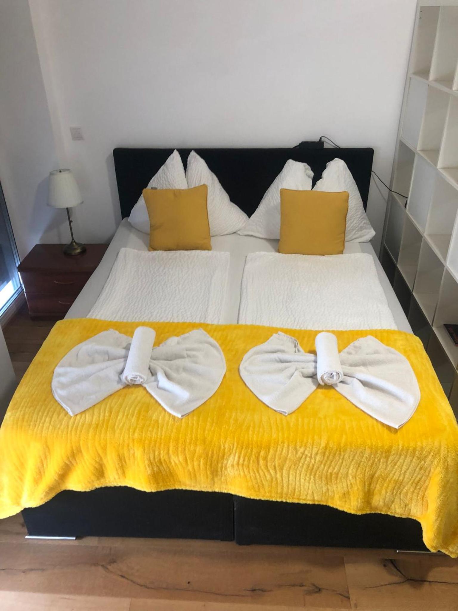 Beauty Apartment Erlachgasse
