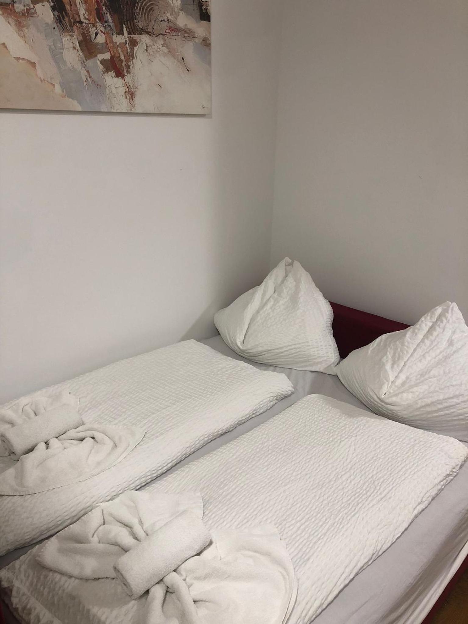 Beauty Apartment Erlachgasse