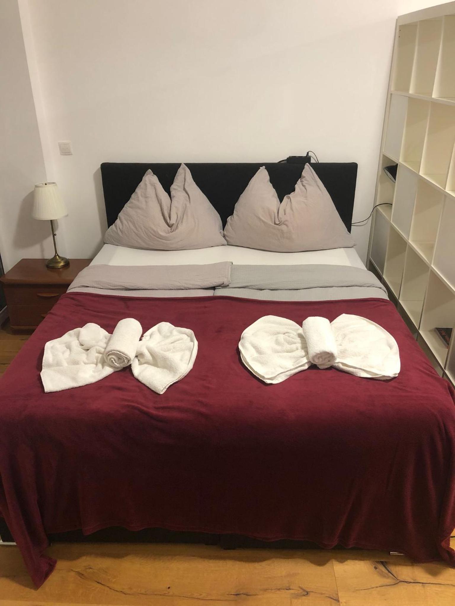 Beauty Apartment Erlachgasse