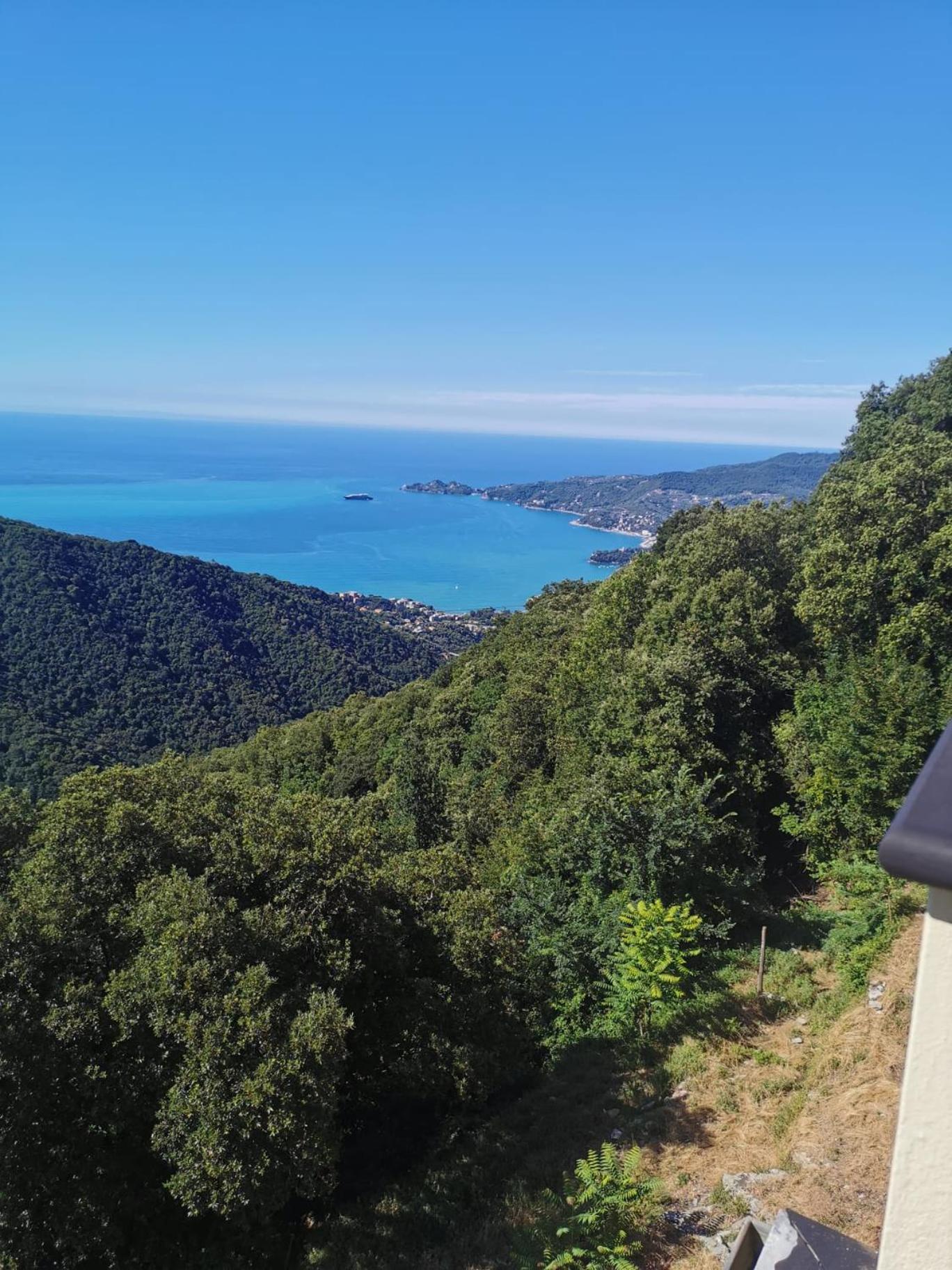 Hotel Montallegro, photo 18