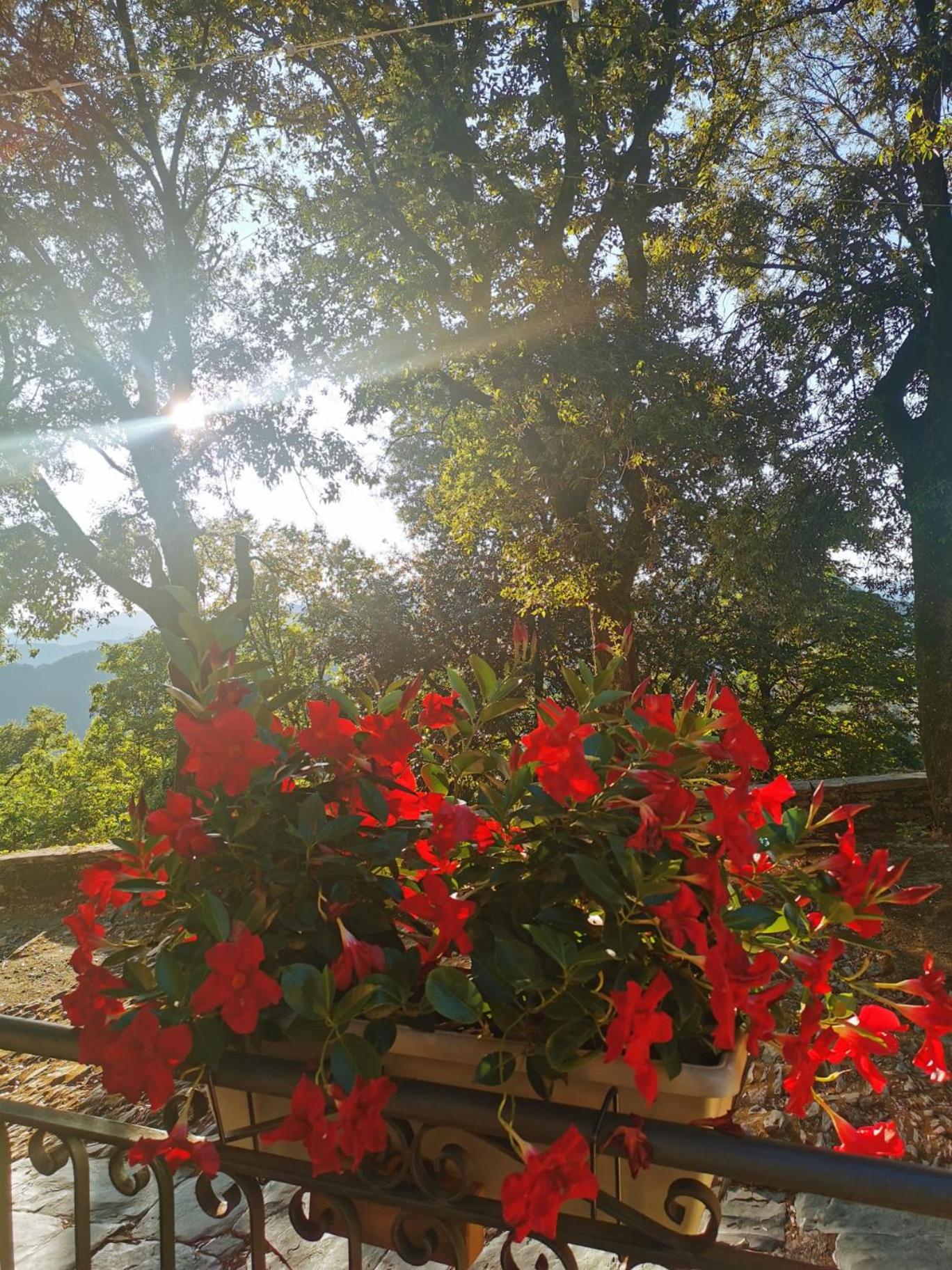 Hotel Montallegro, photo 3