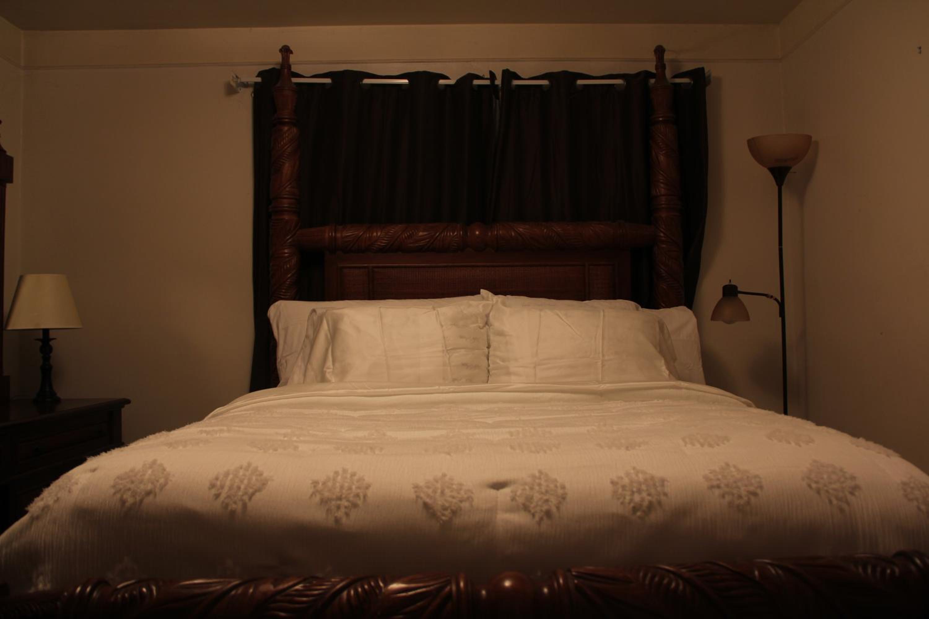 Beautiful, Cozy Stay in Oak Park, Queen Bedroom, Work Setup & Backyard Grill