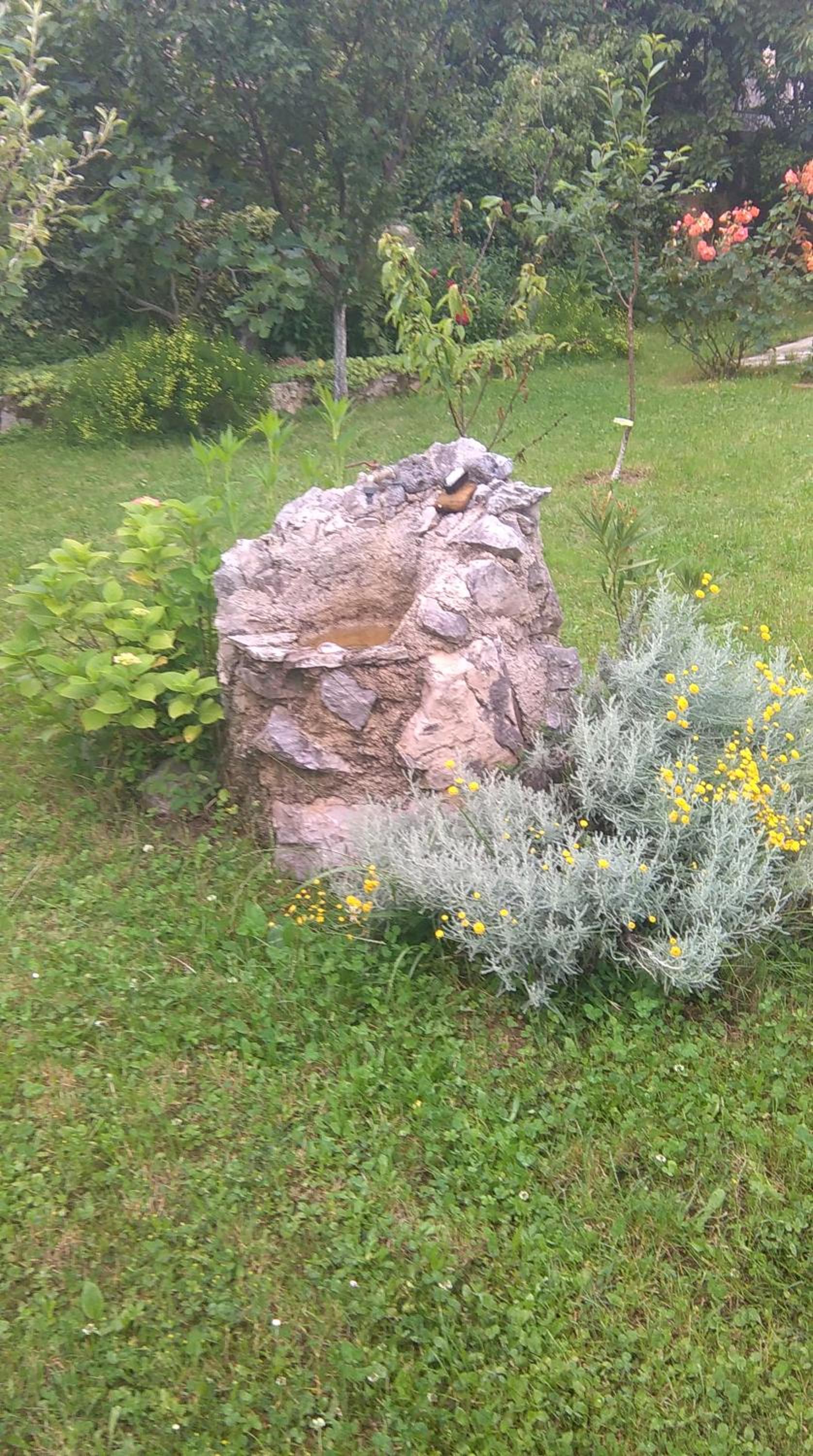 Apartment Cvjetna