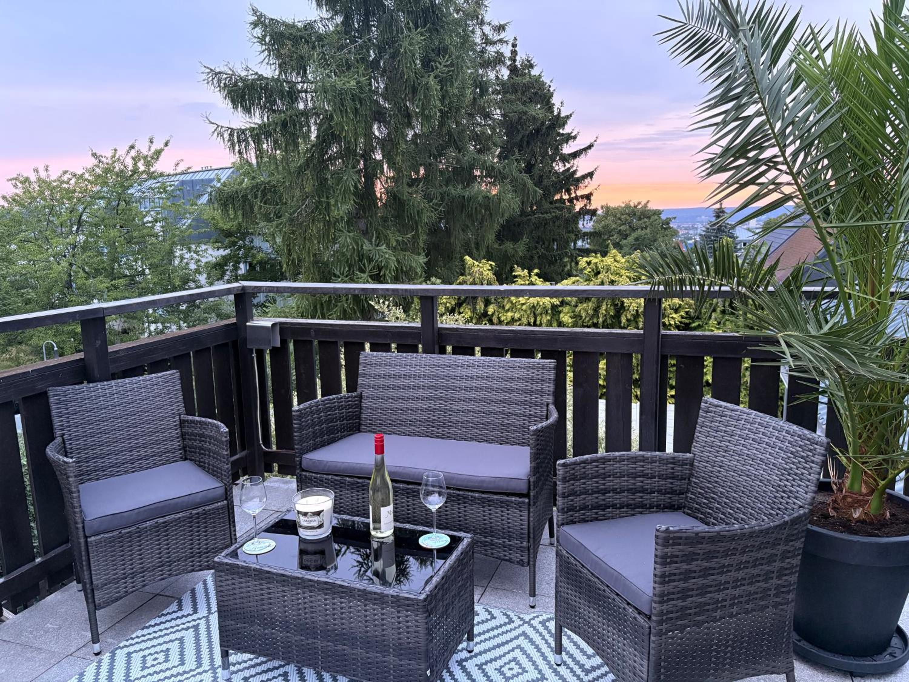 Ferienwohnung mit Schlösserblick in Dresden I große Dachterrasse I Parkplatz kostenfrei
