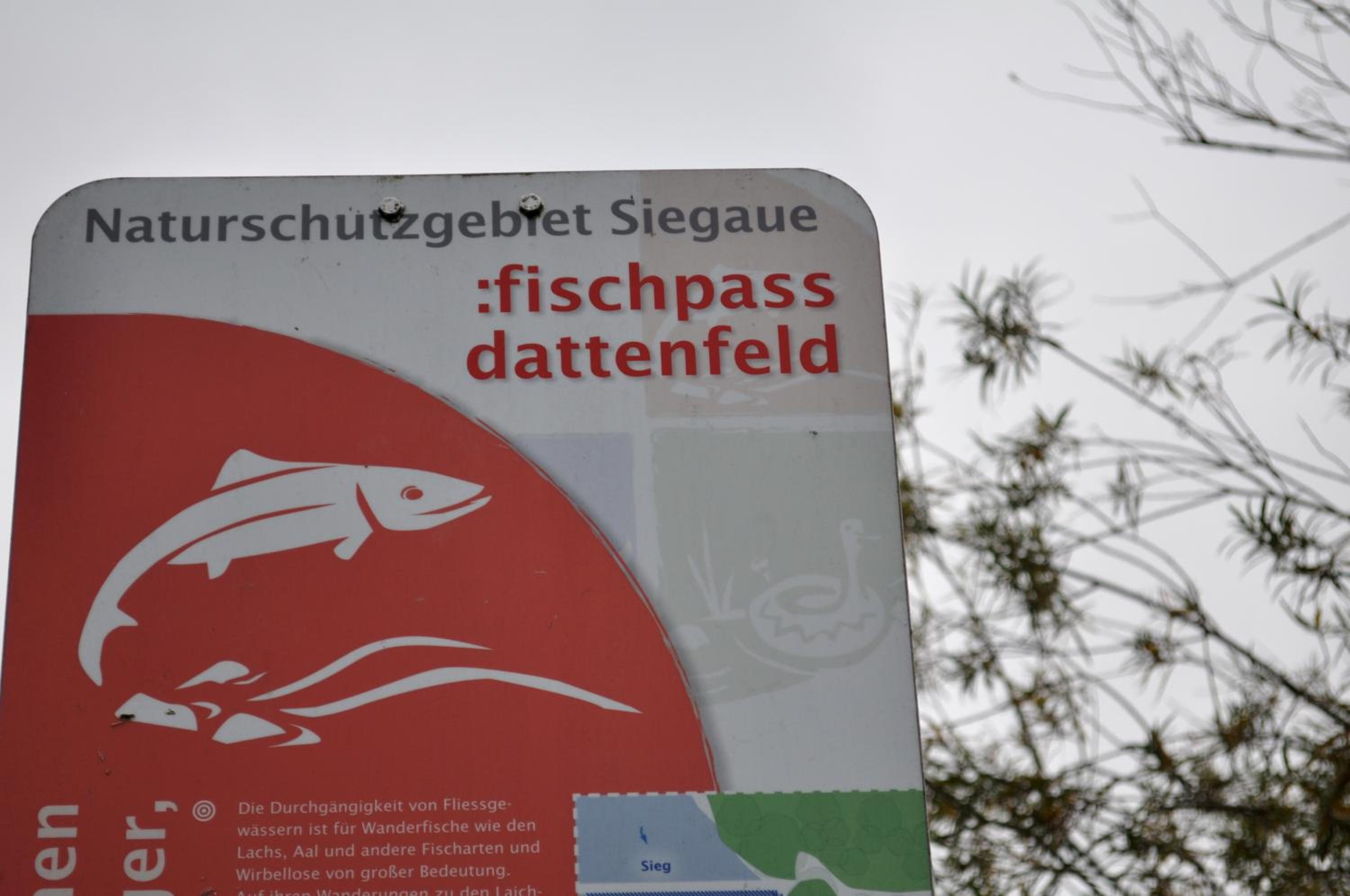 Ferienwohnung Schadler