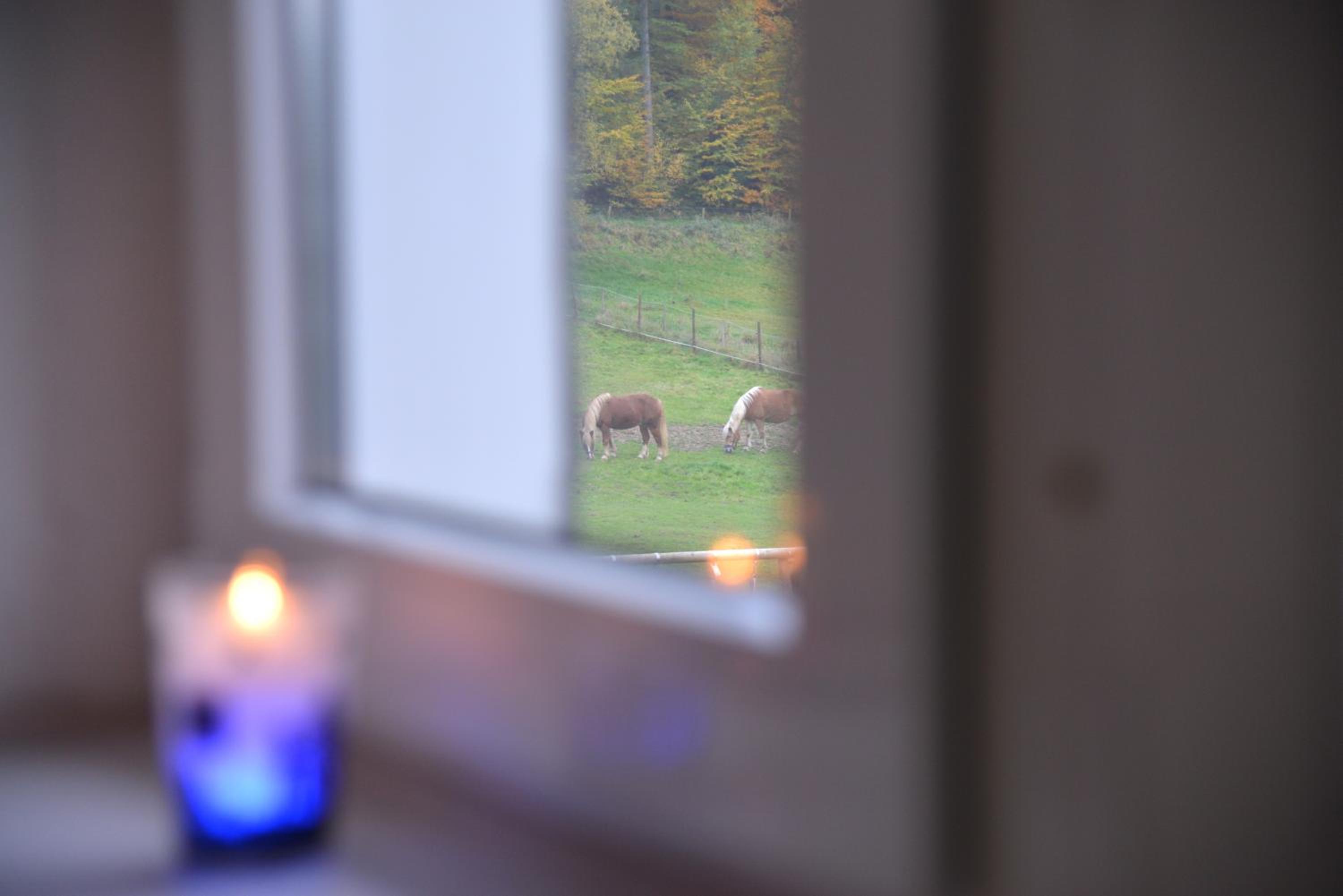 Ferienwohnung Schadler en Windeck