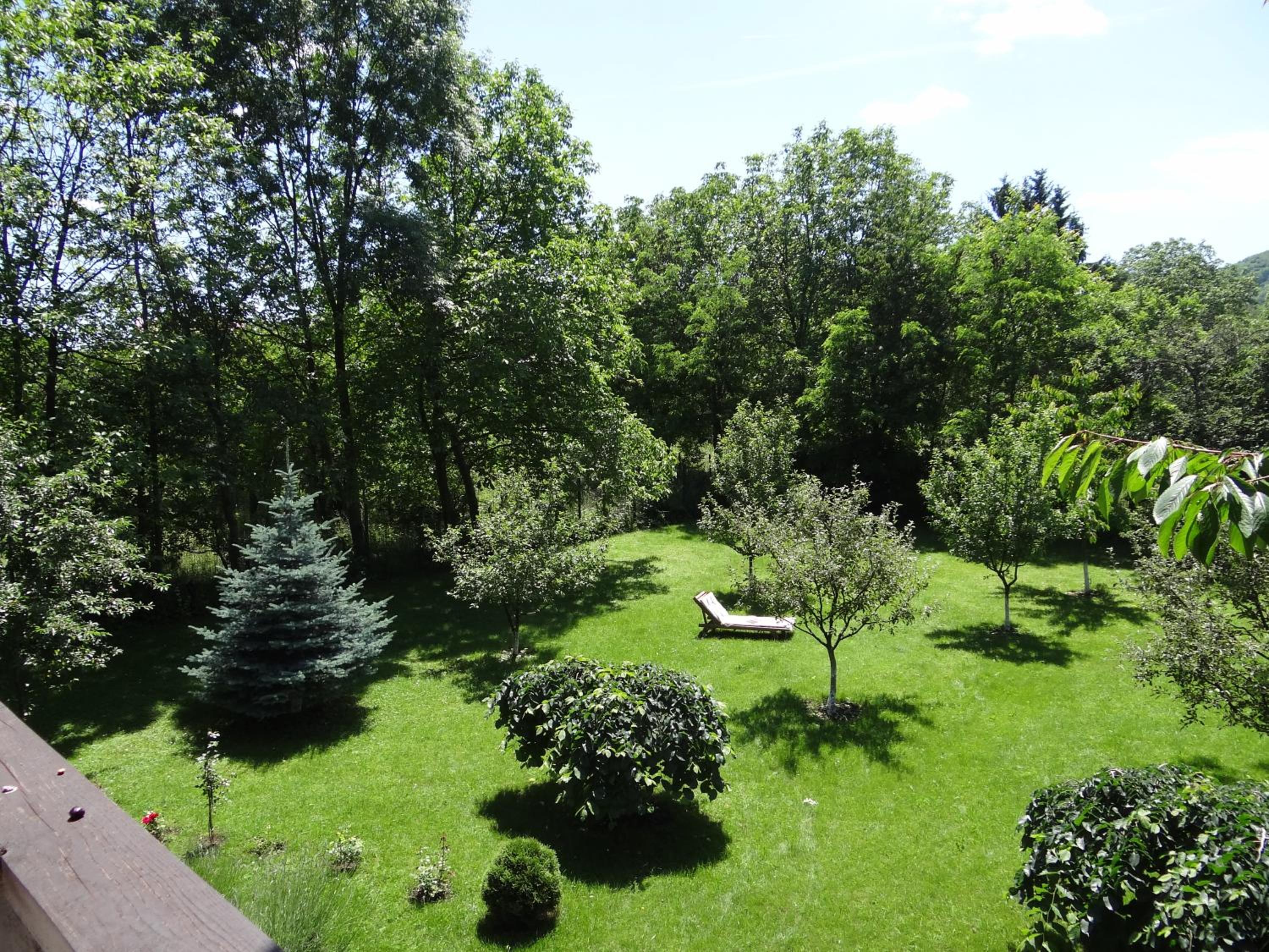 Photo 41
