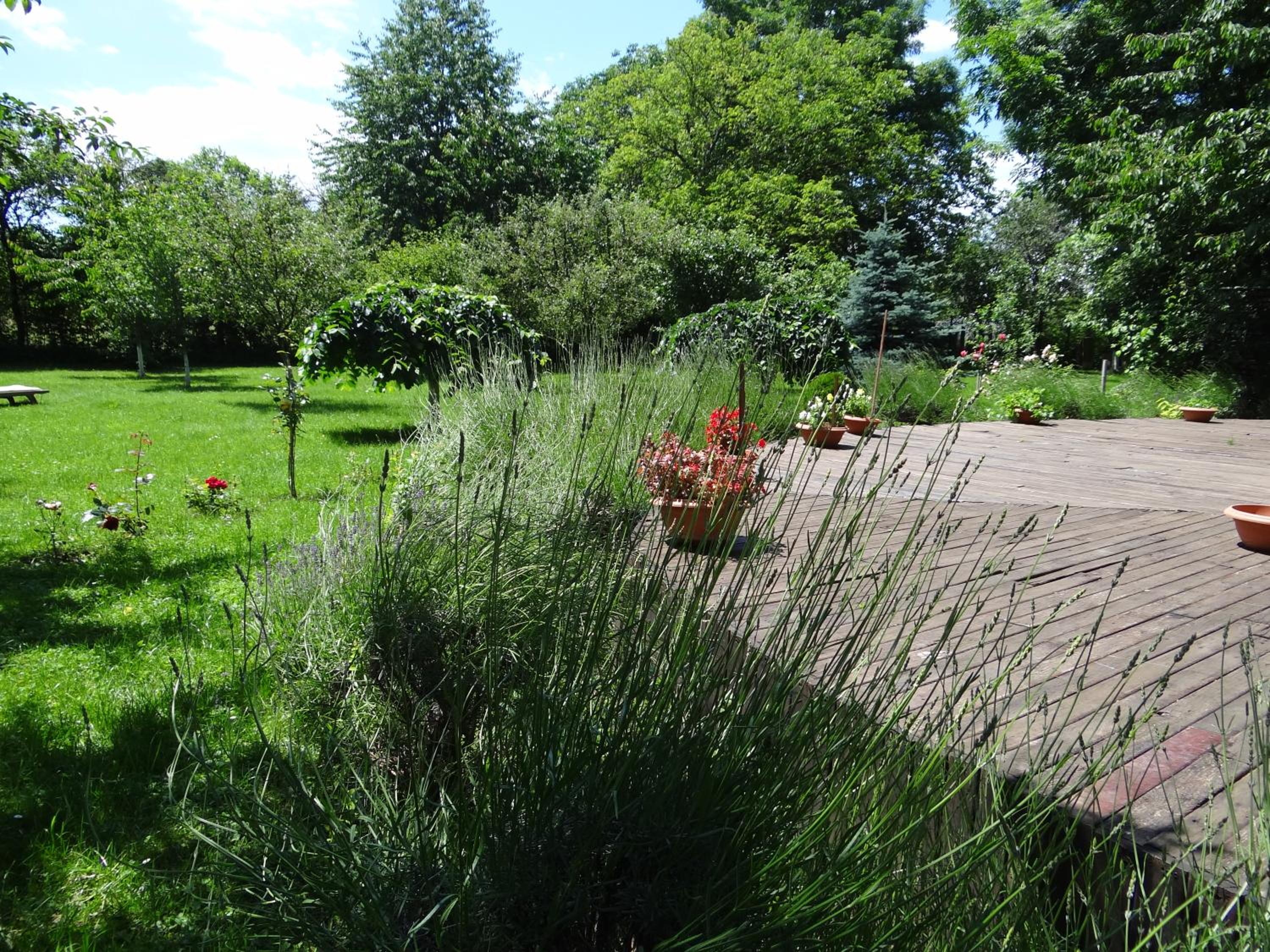 Photo 42
