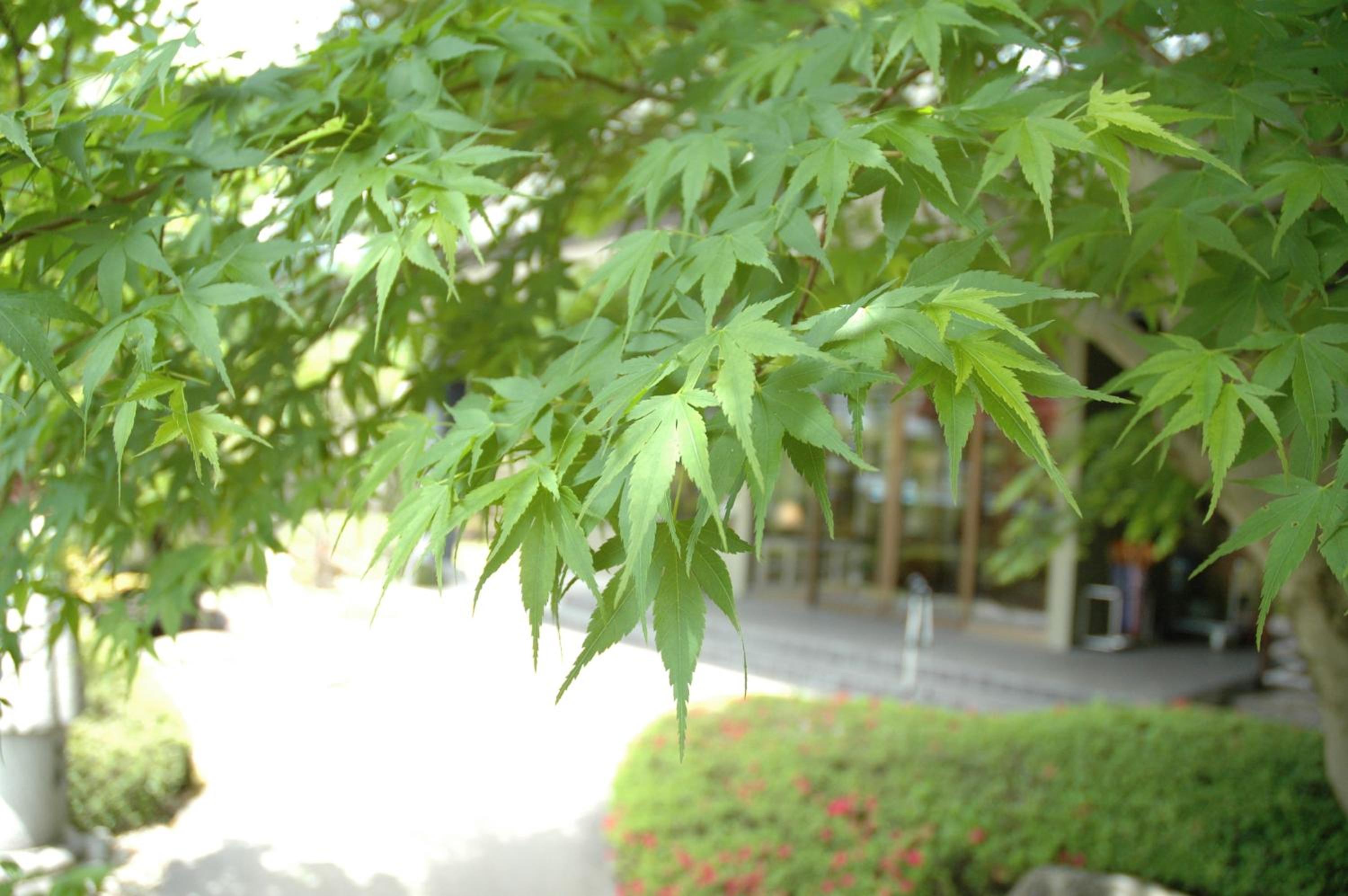 Hotel Yamabuki
