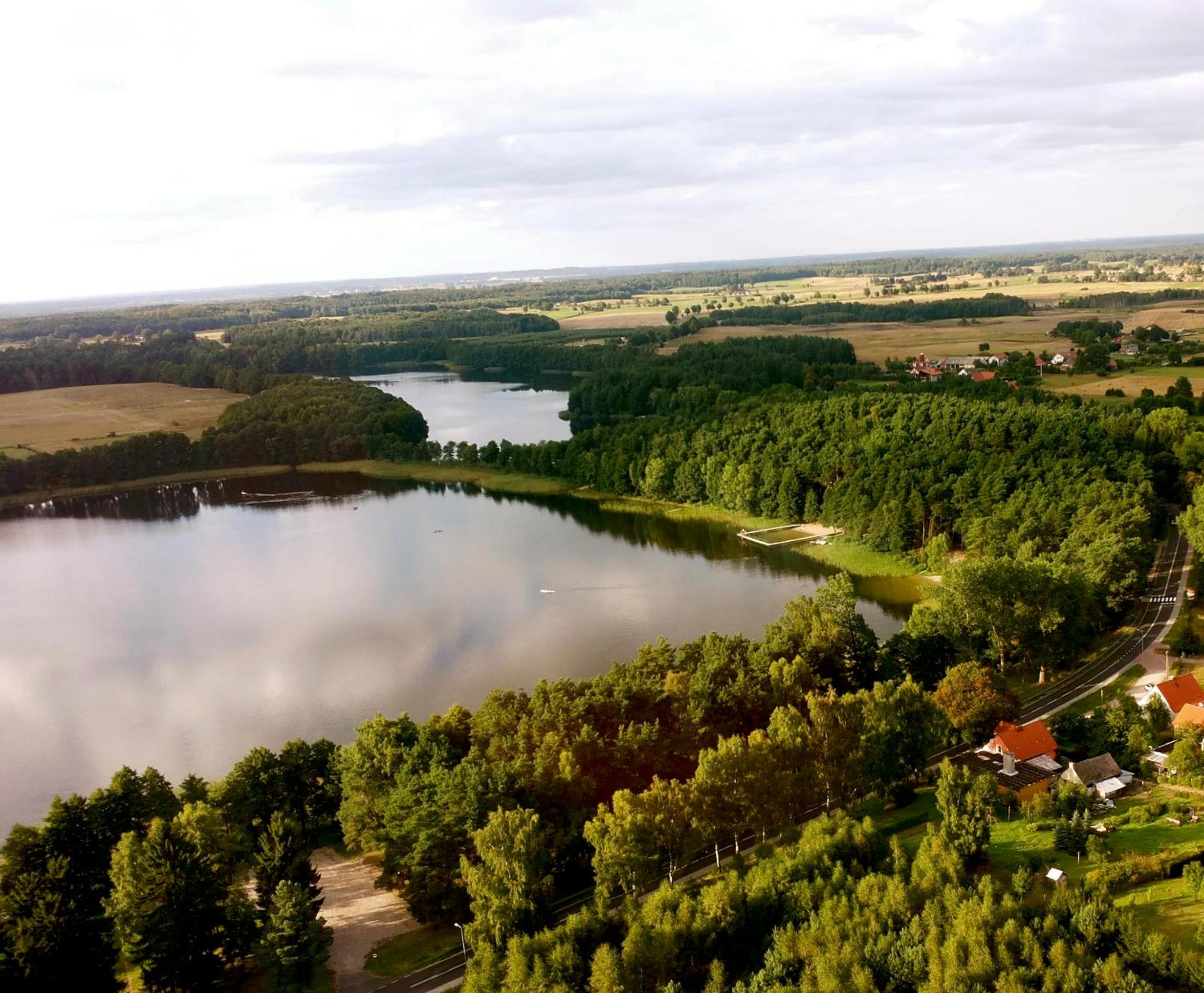 Jeleń