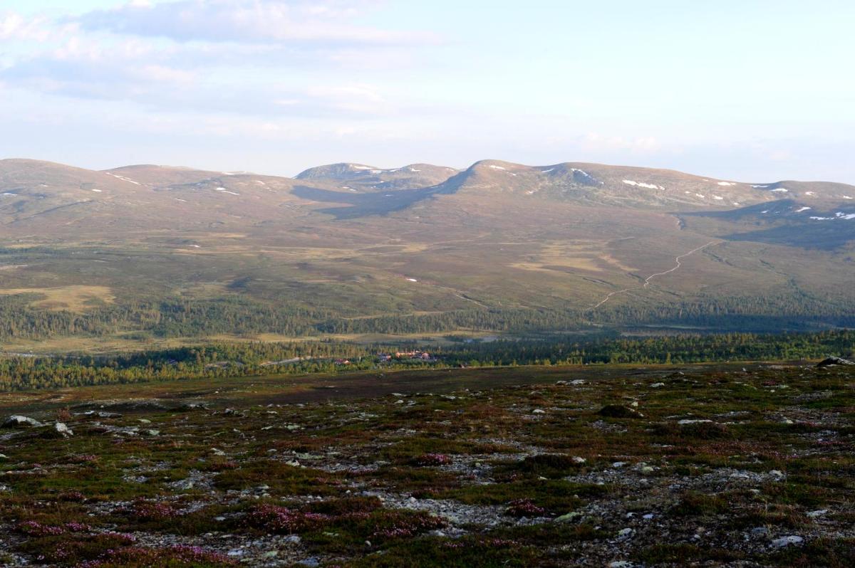 STF Grövelsjön Fjällstation & Hotell 29