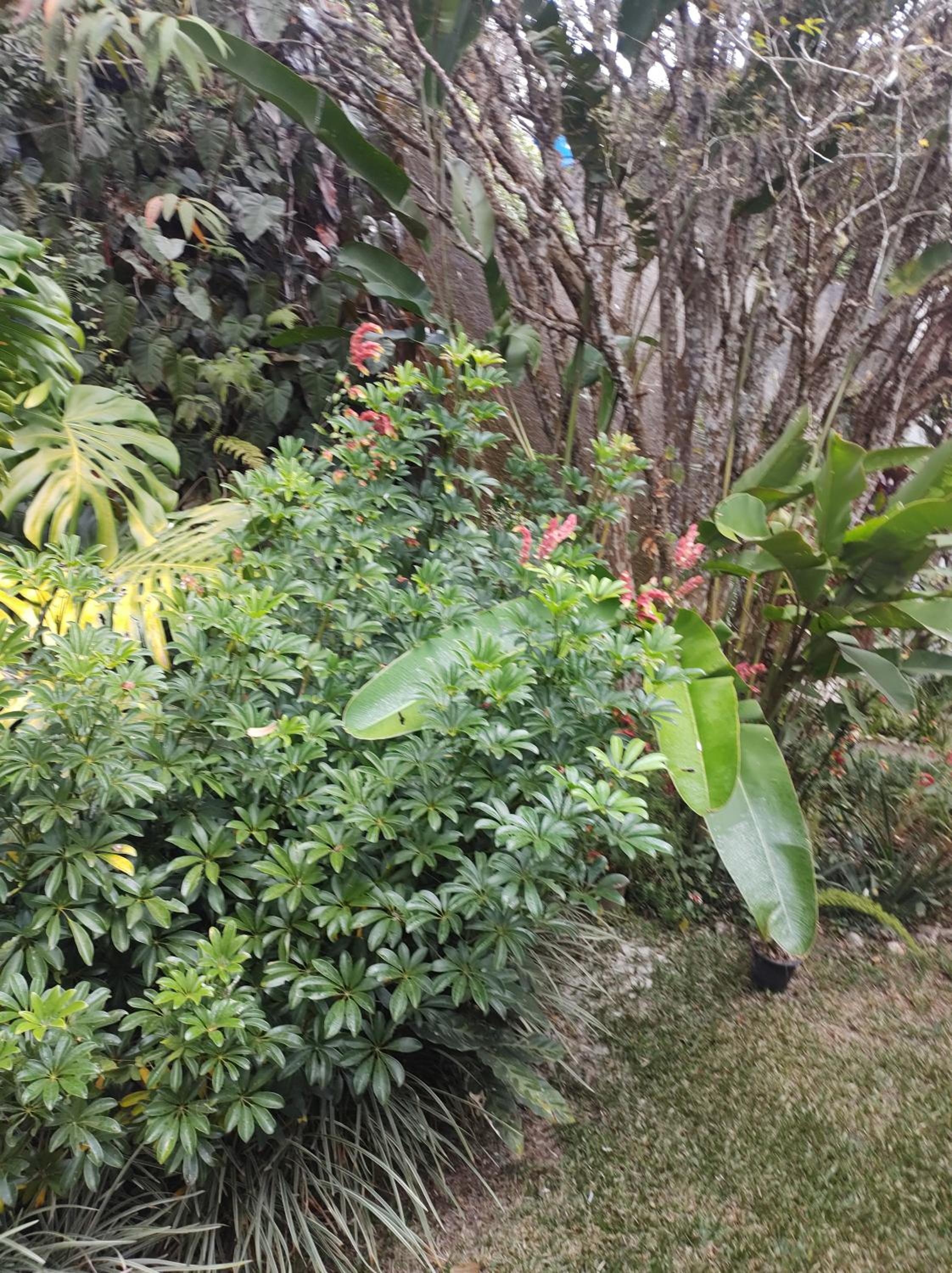 Paraíso aconchegante em Itaipava