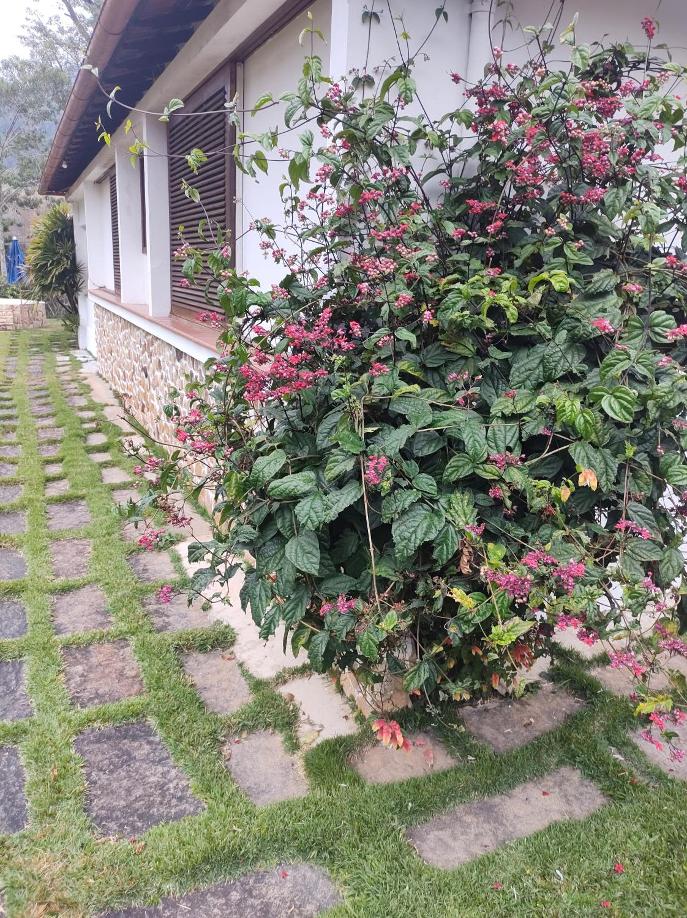 Paraíso aconchegante em Itaipava