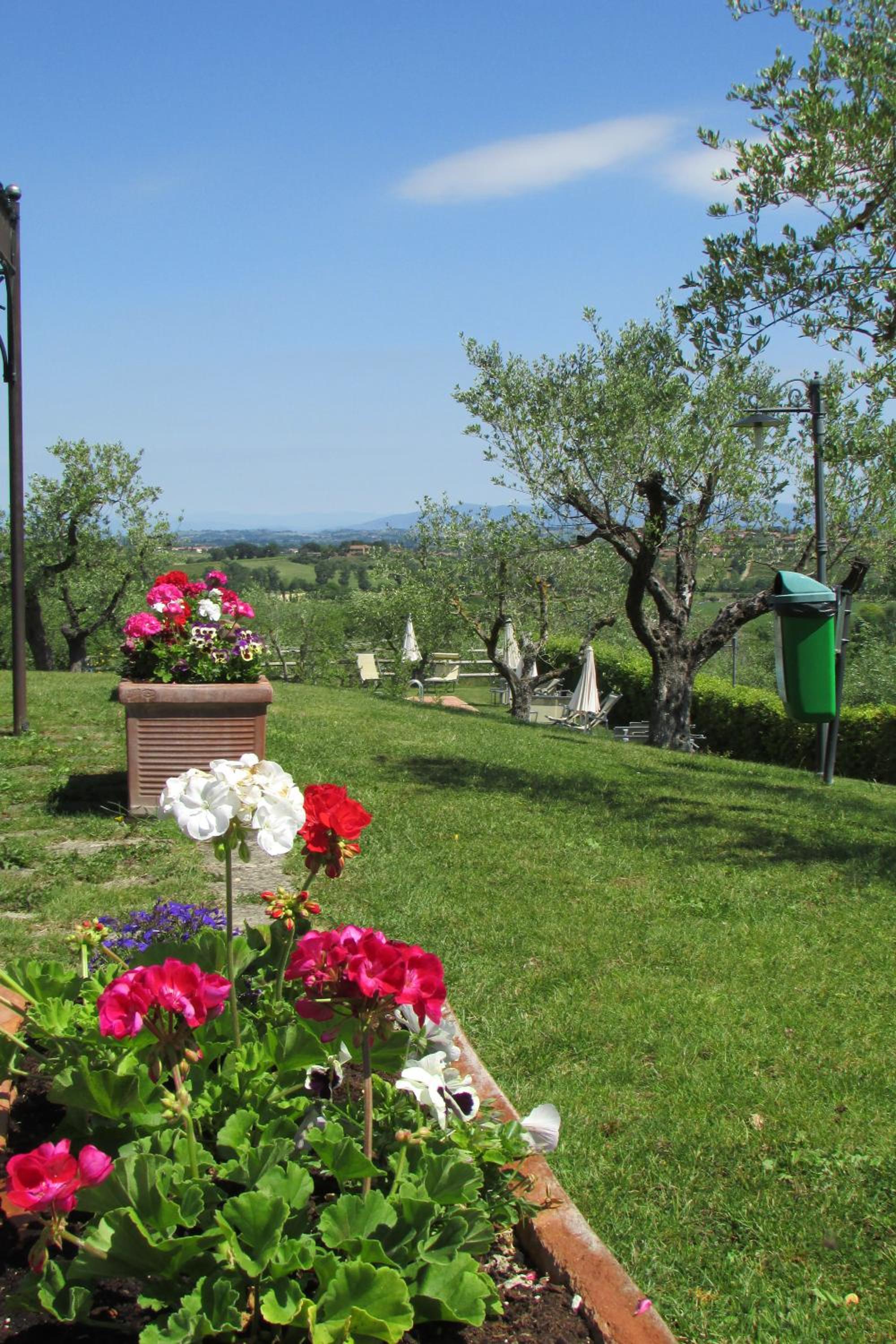 Poggio Olivo