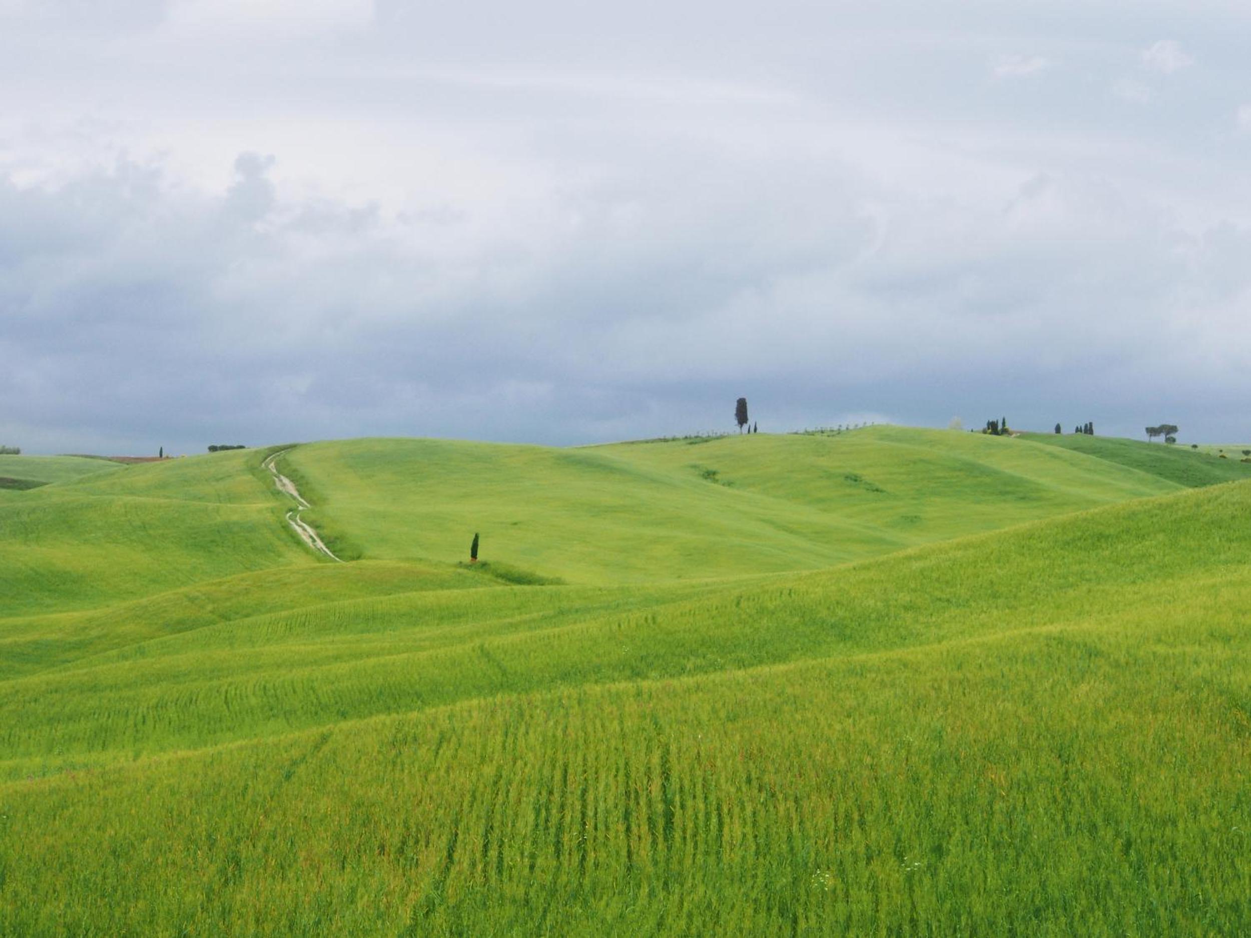 Photo 50