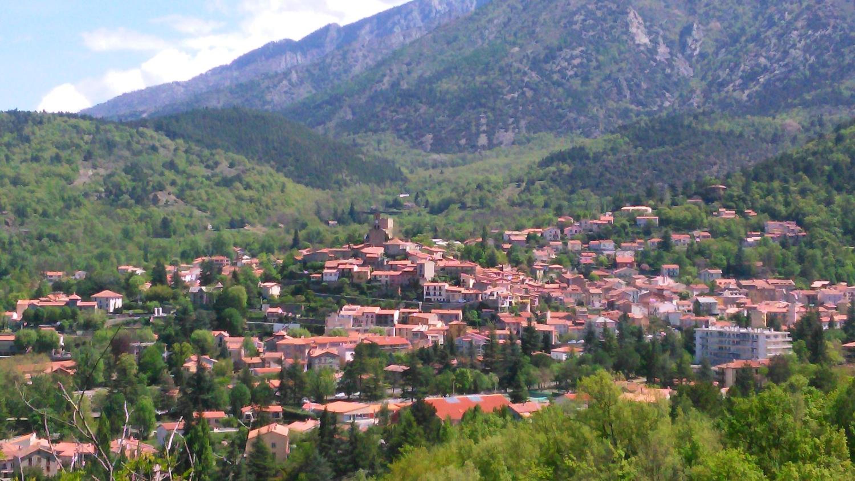 Photo 12