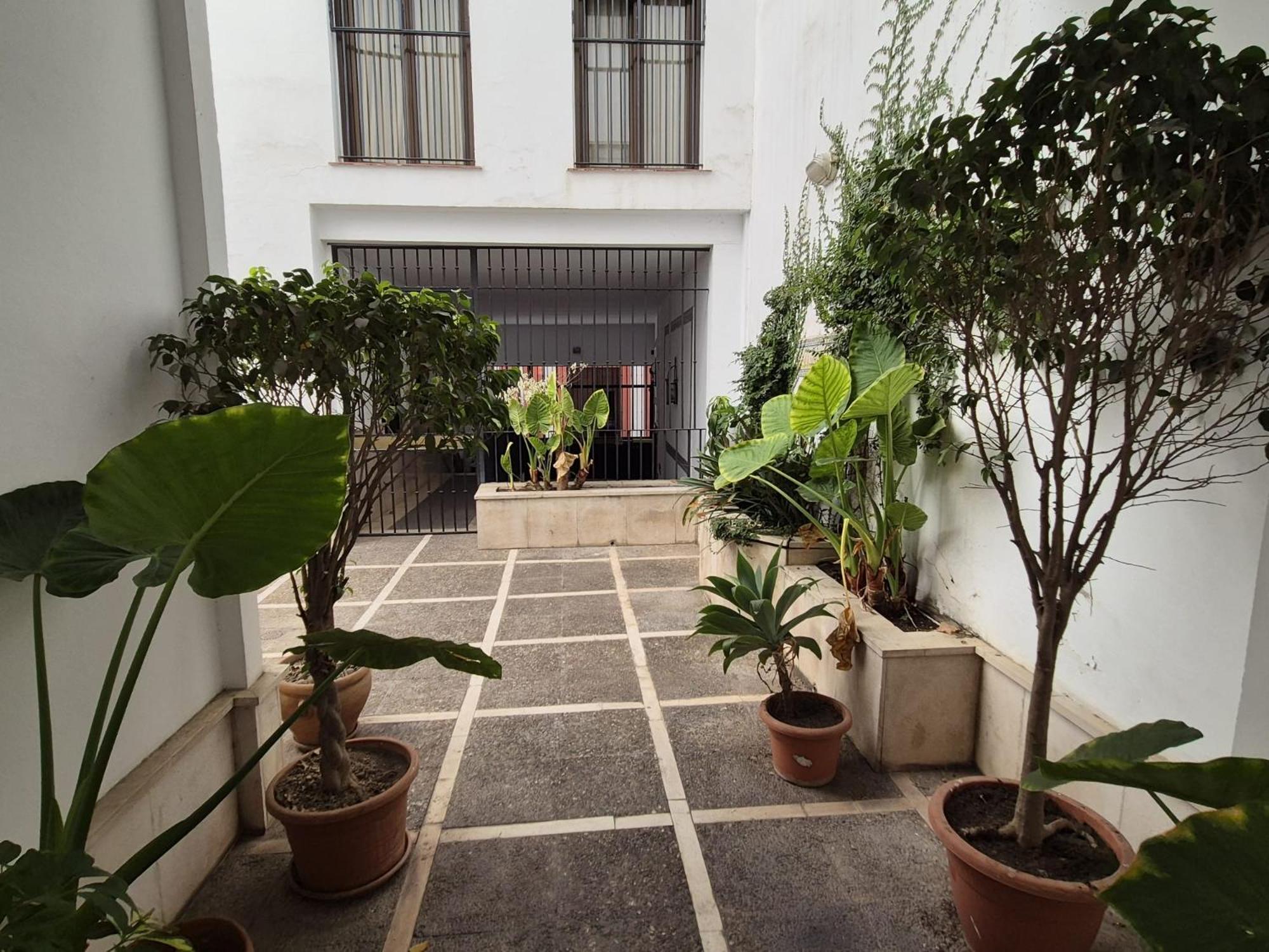 Estancia a un paso del Museo de Bellas Artes