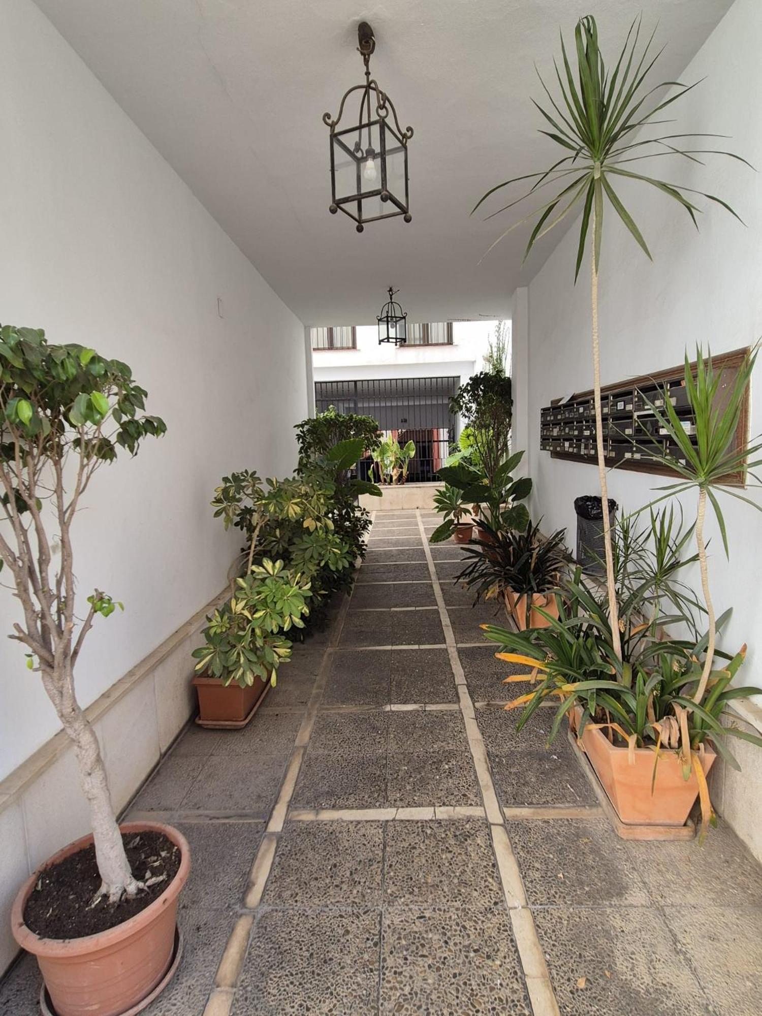 Estancia a un paso del Museo de Bellas Artes