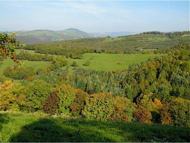 Verona Vacations - BB Romy Rocker - Property Image 1