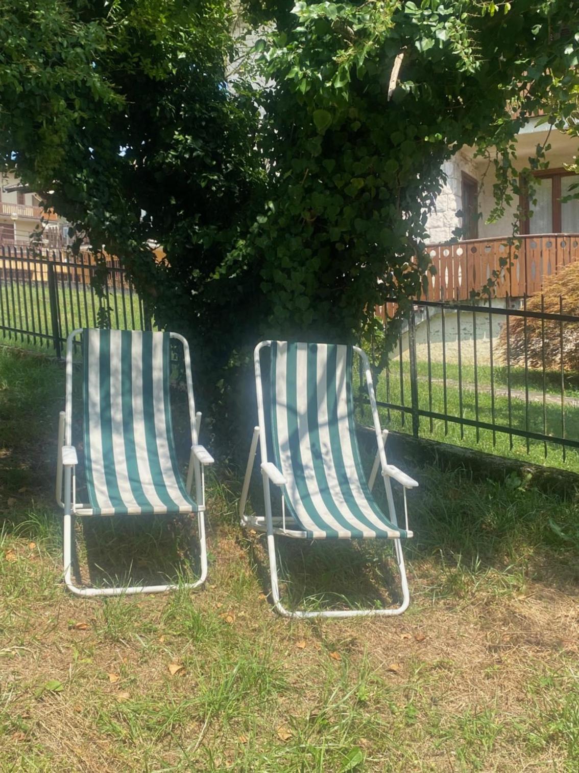 Il giardino dei pini