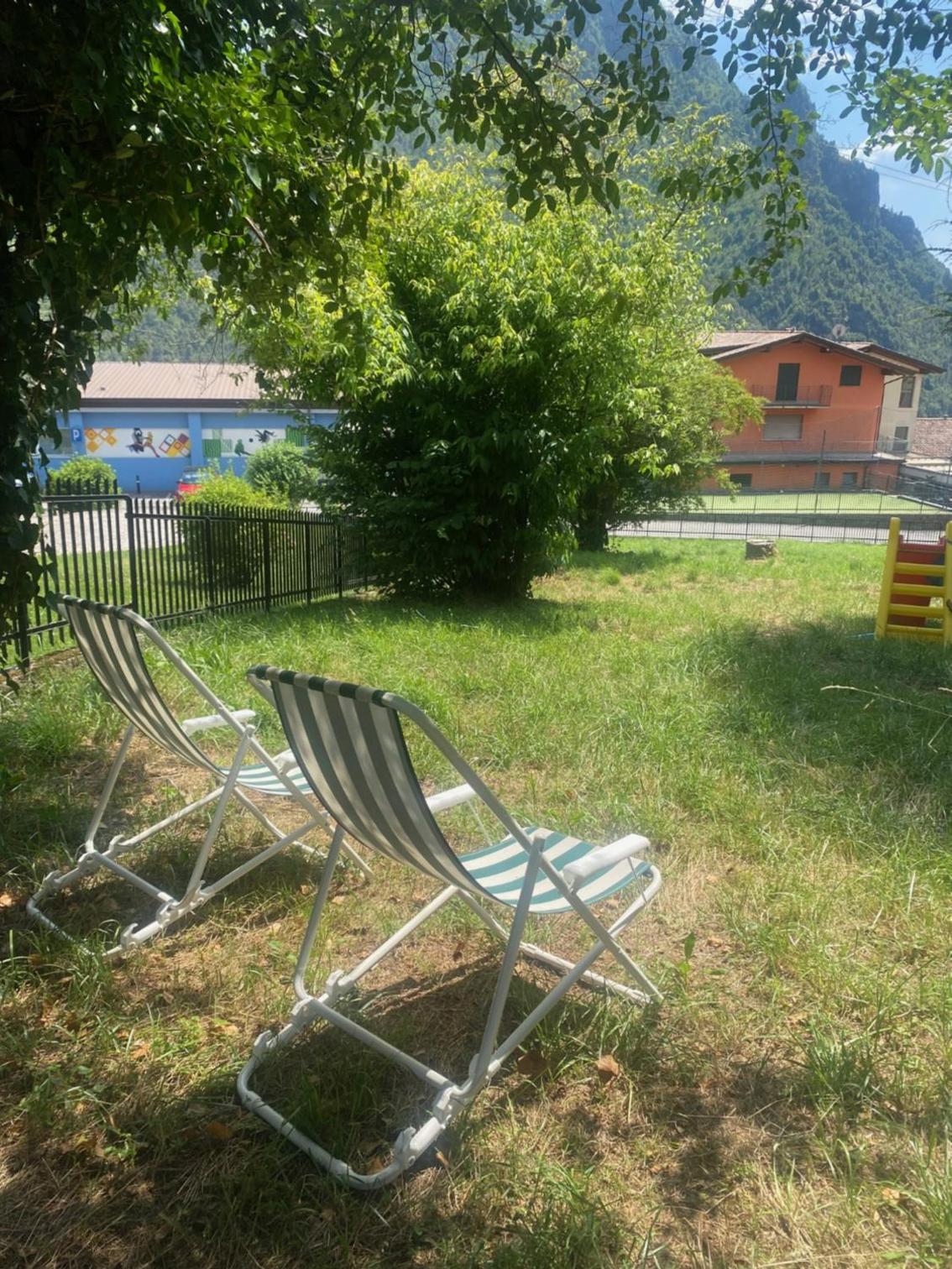 Il giardino dei pini