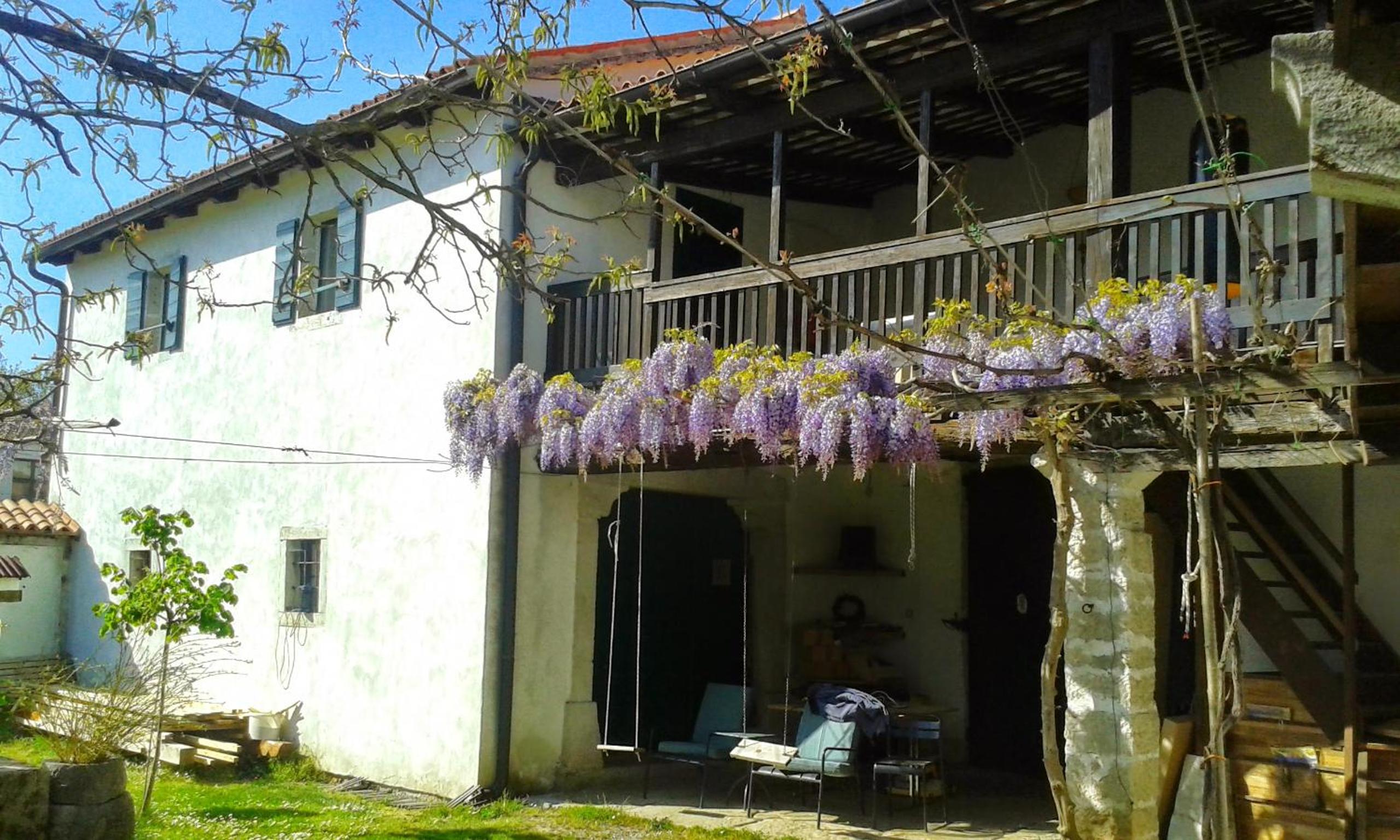 Apartmaji Hedera view 5
