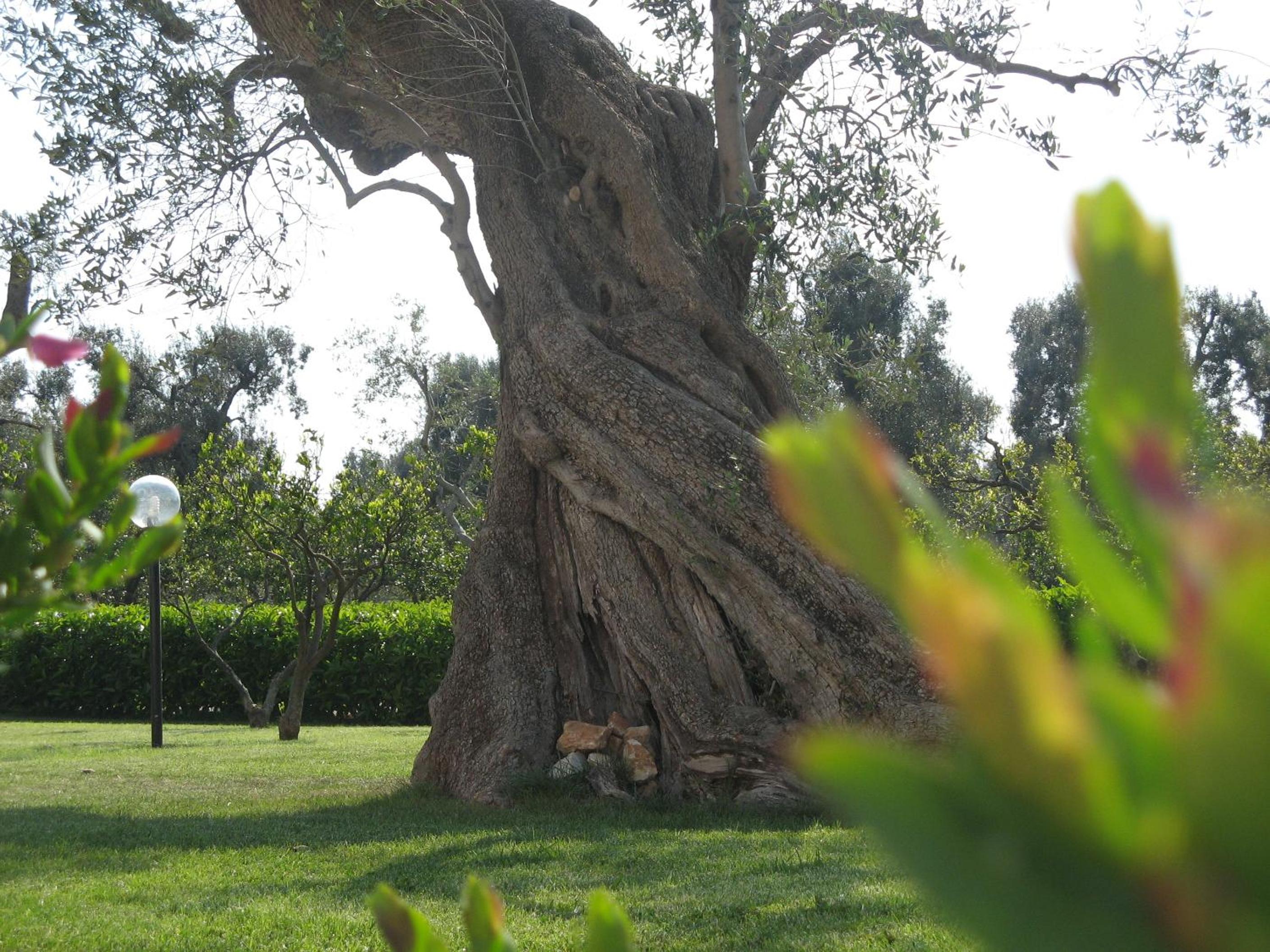 Photo 49