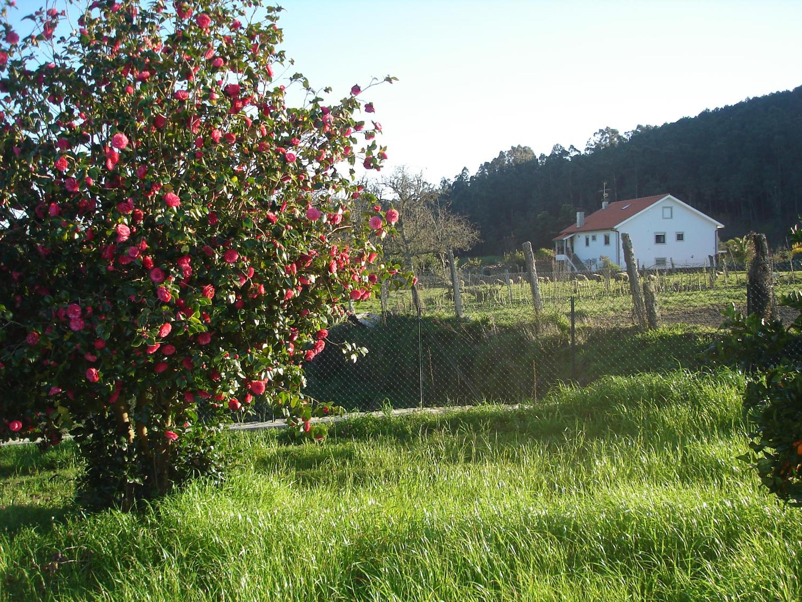 Photo 36
