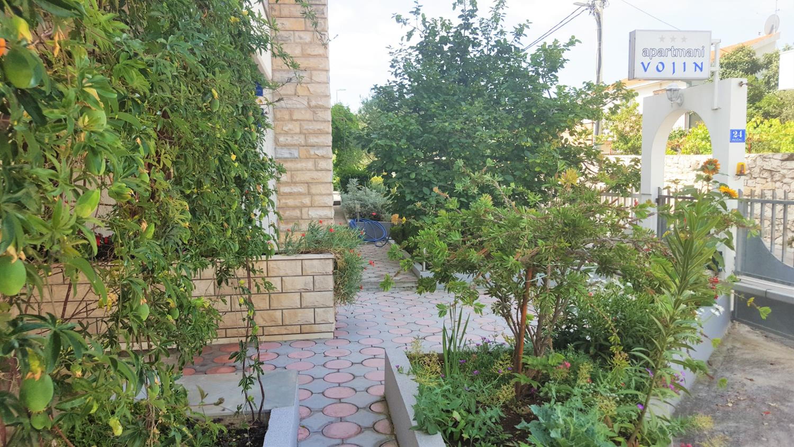 Apartments Vojin