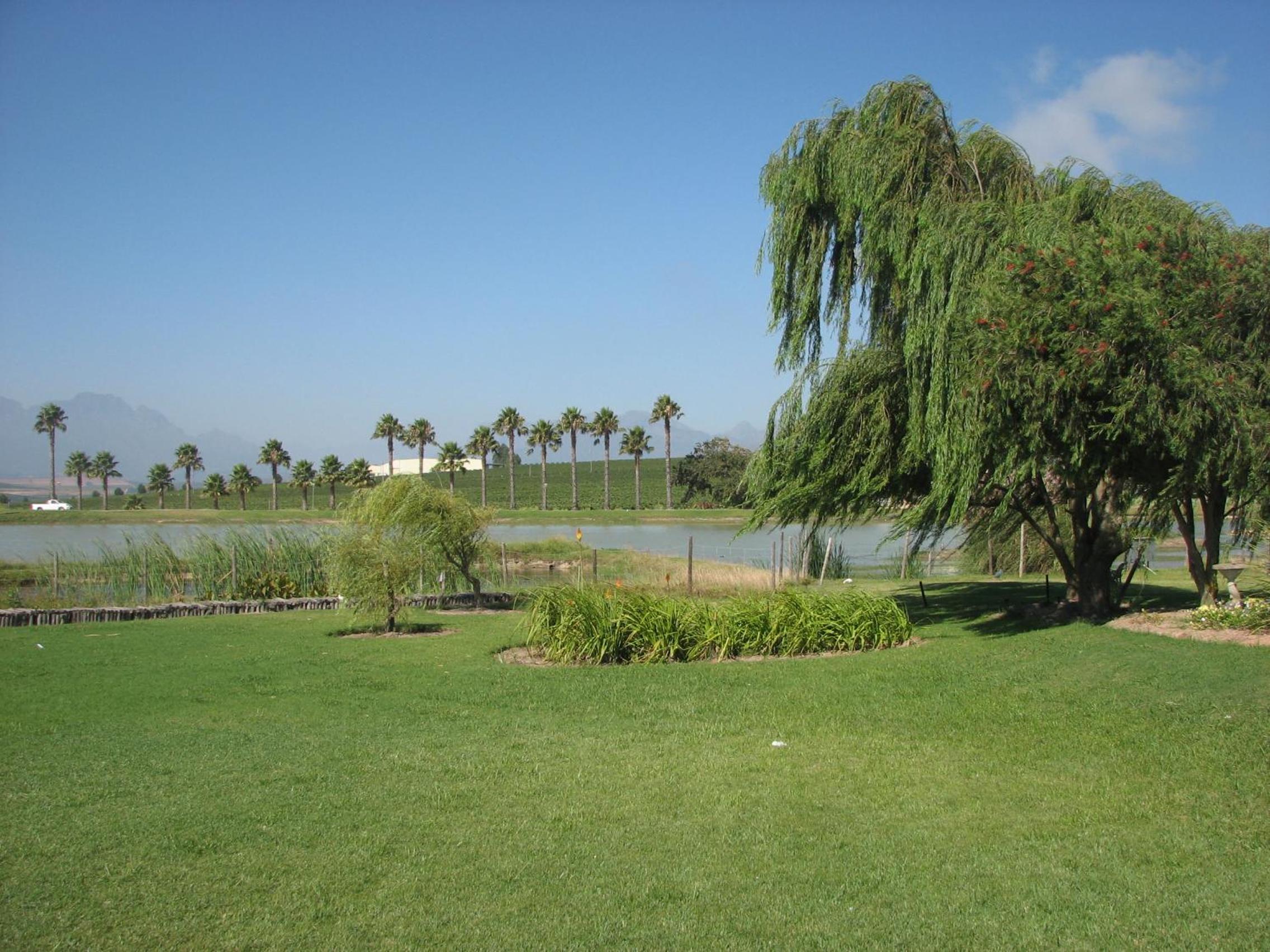 Skilpadvlei Wine Farm