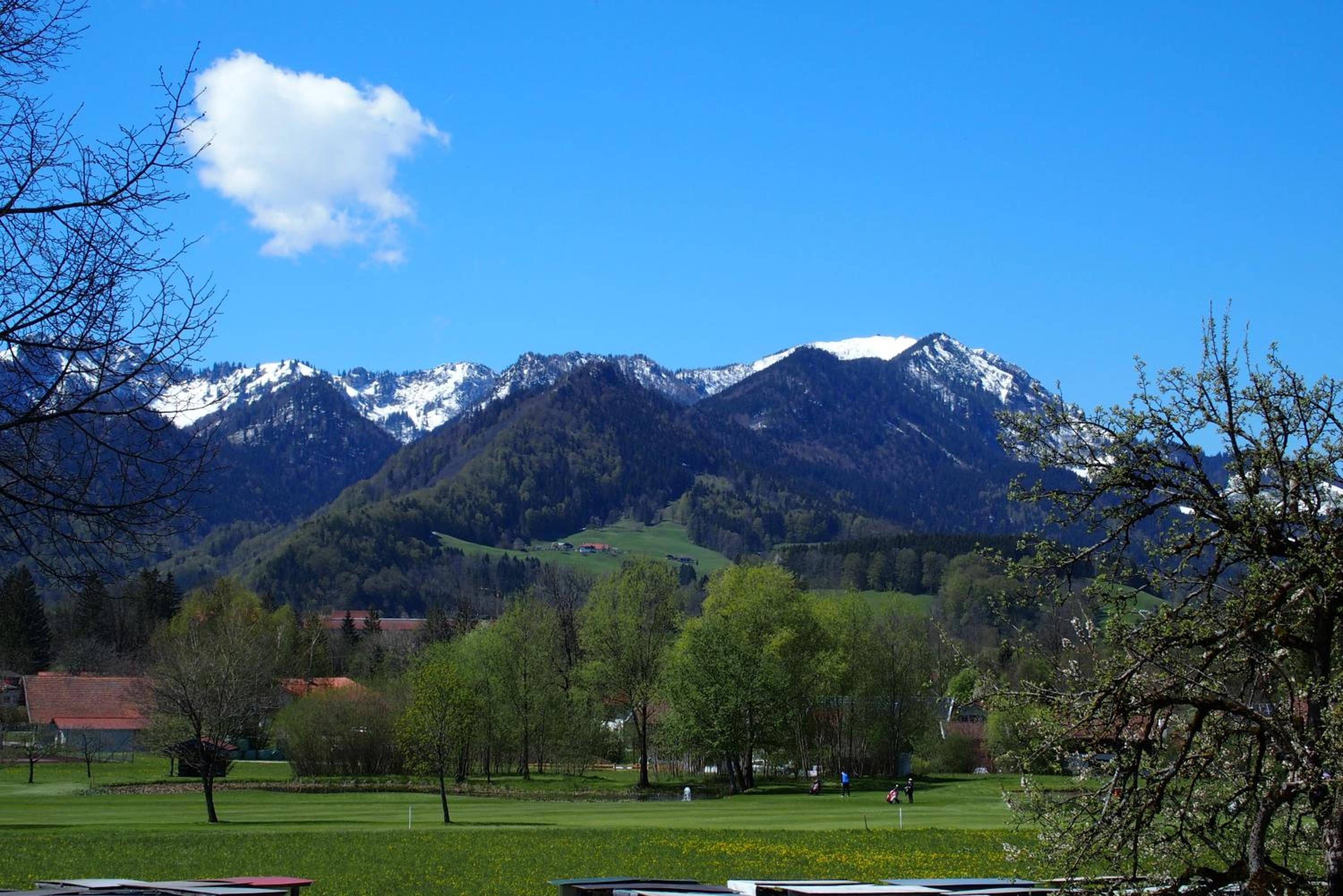 Photo 20