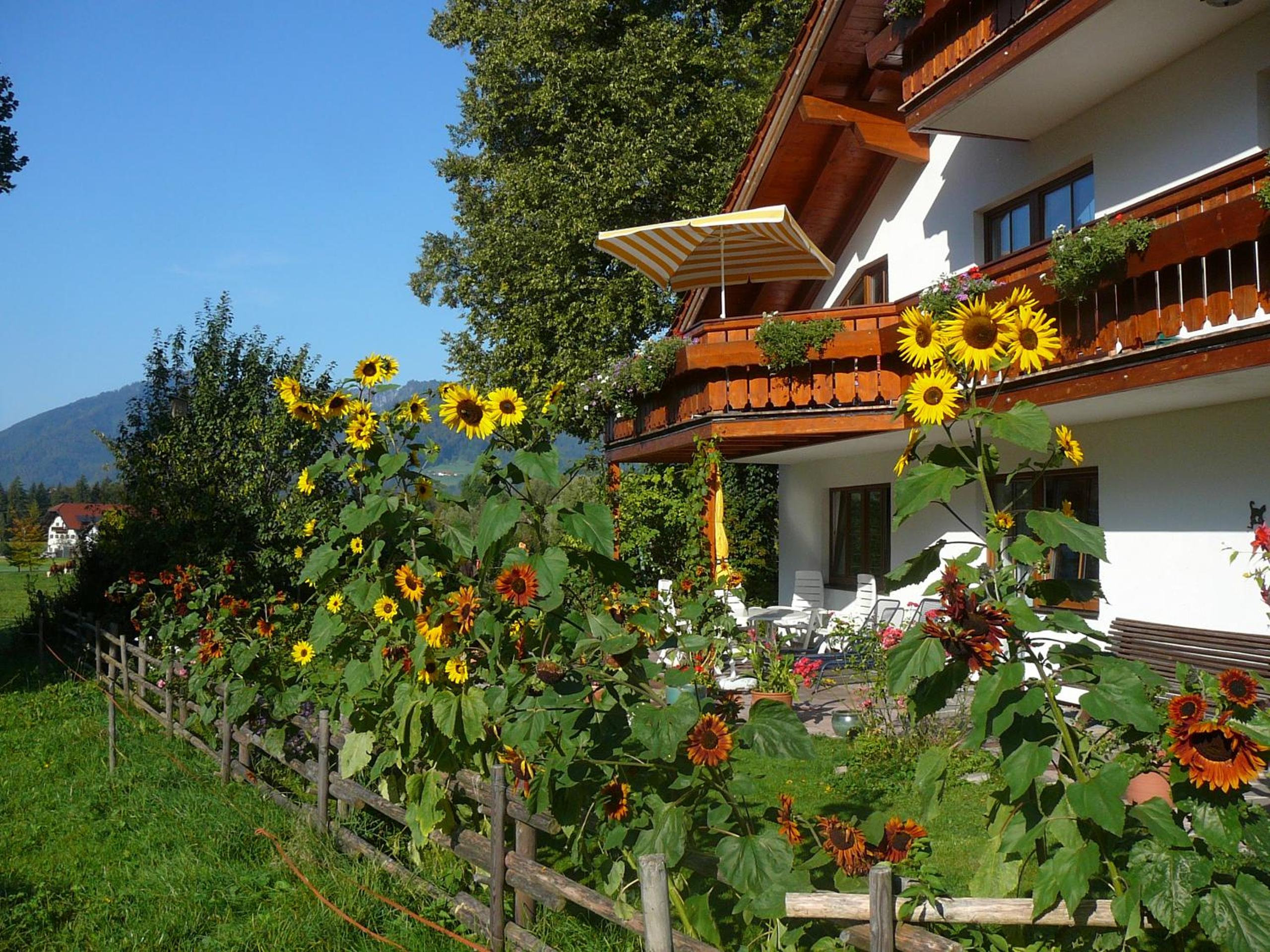 Landhaus Heinrich view 4