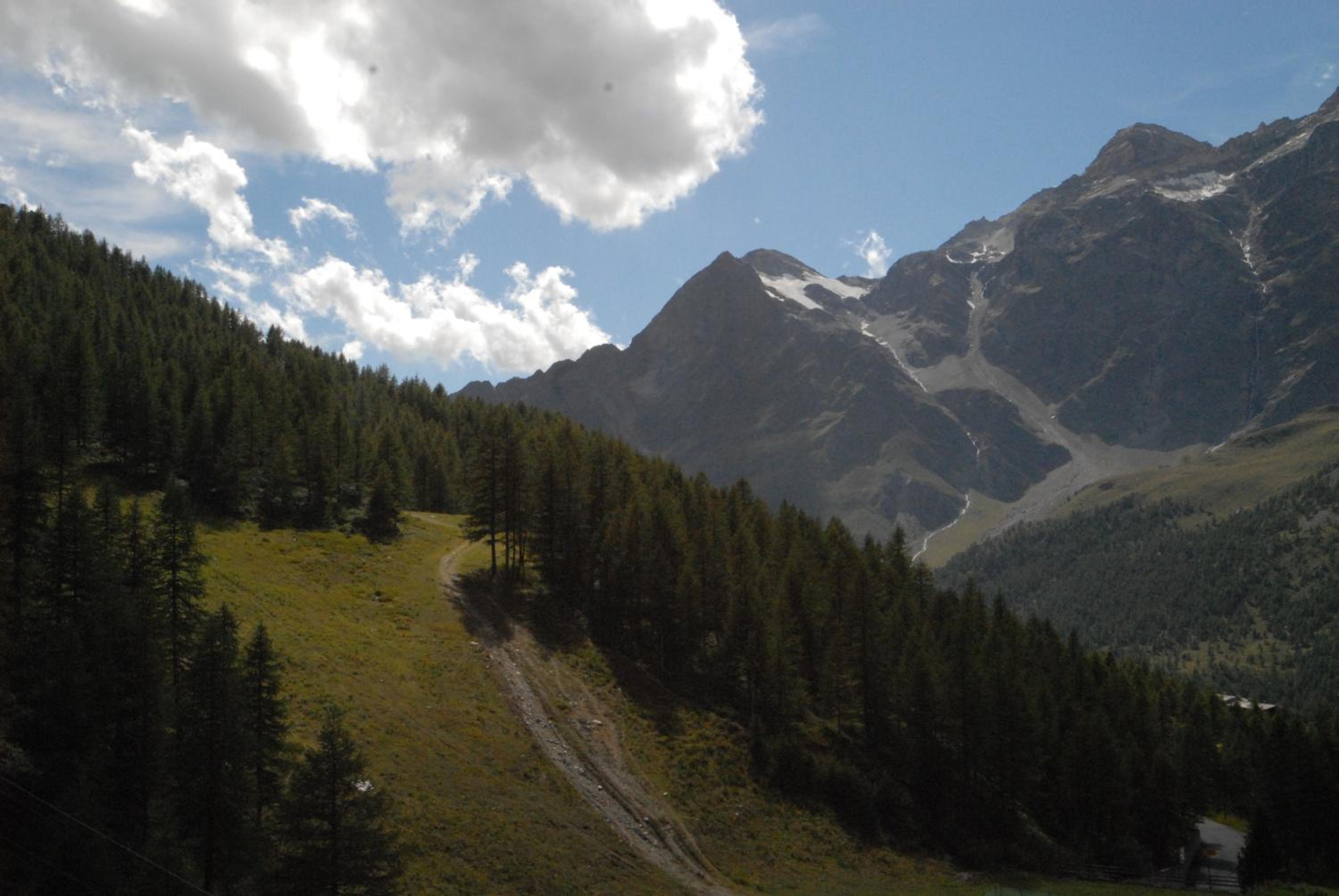Photo 33