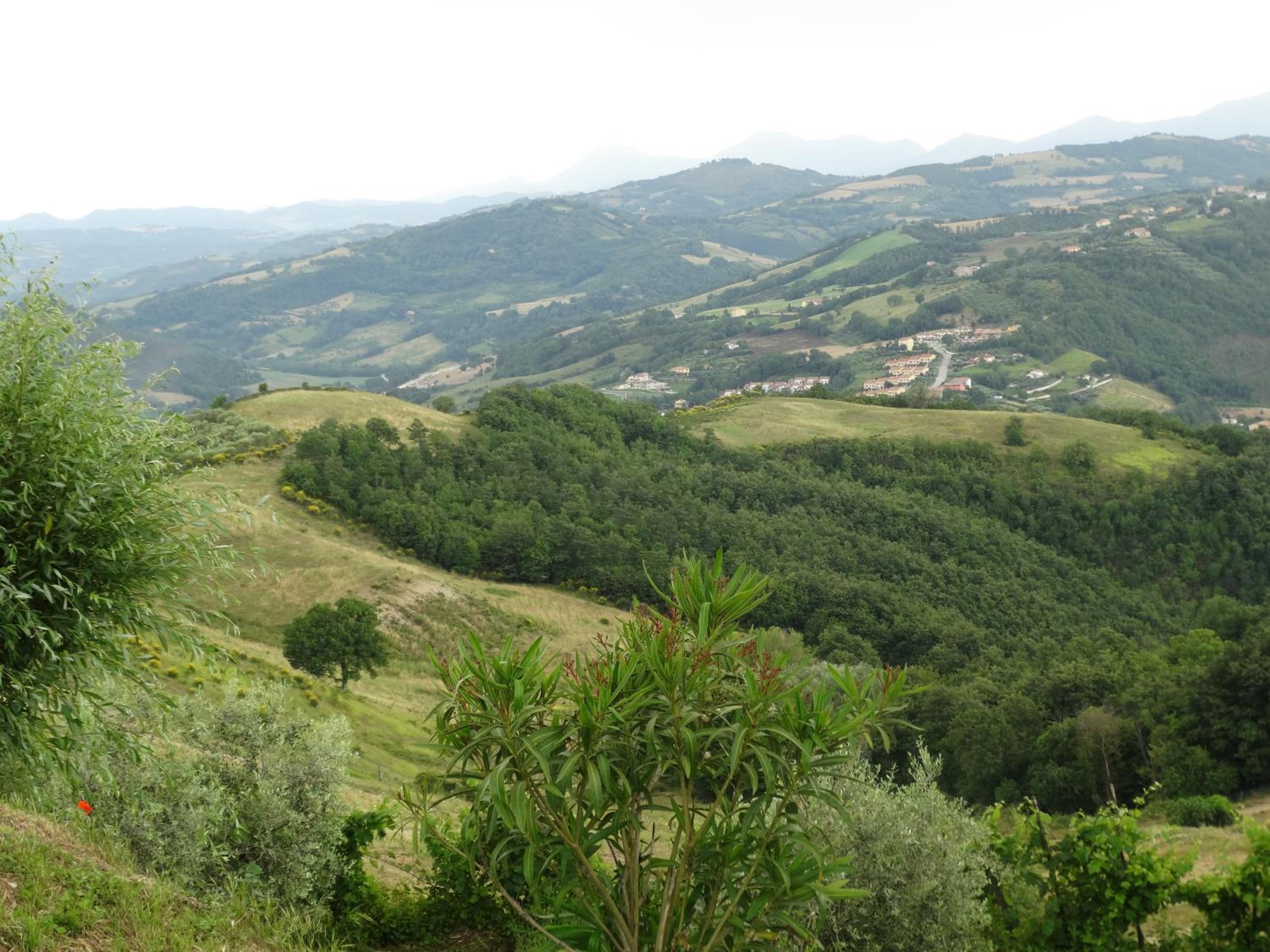 Agriturismo La Terrazza