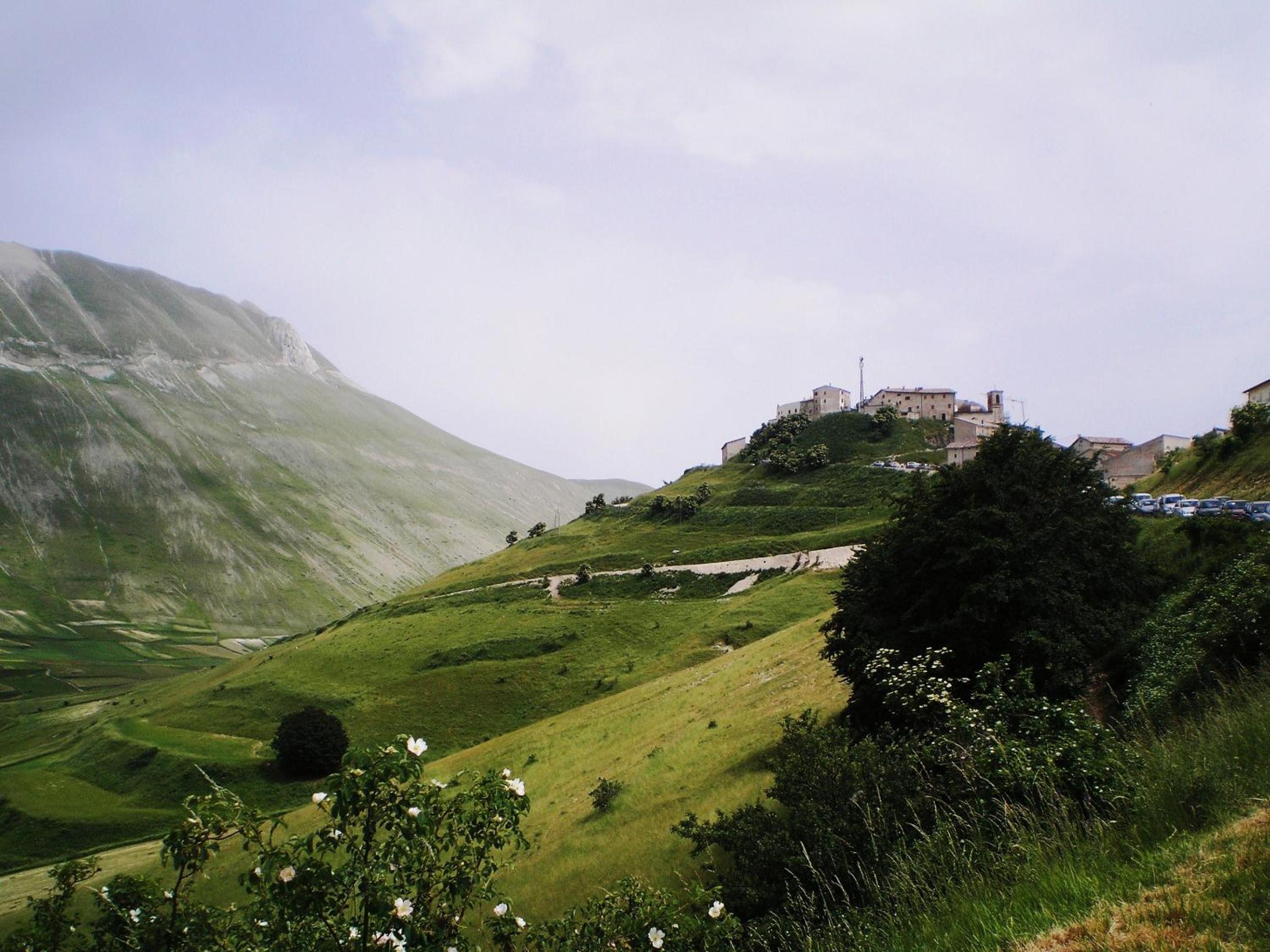 Photo 48