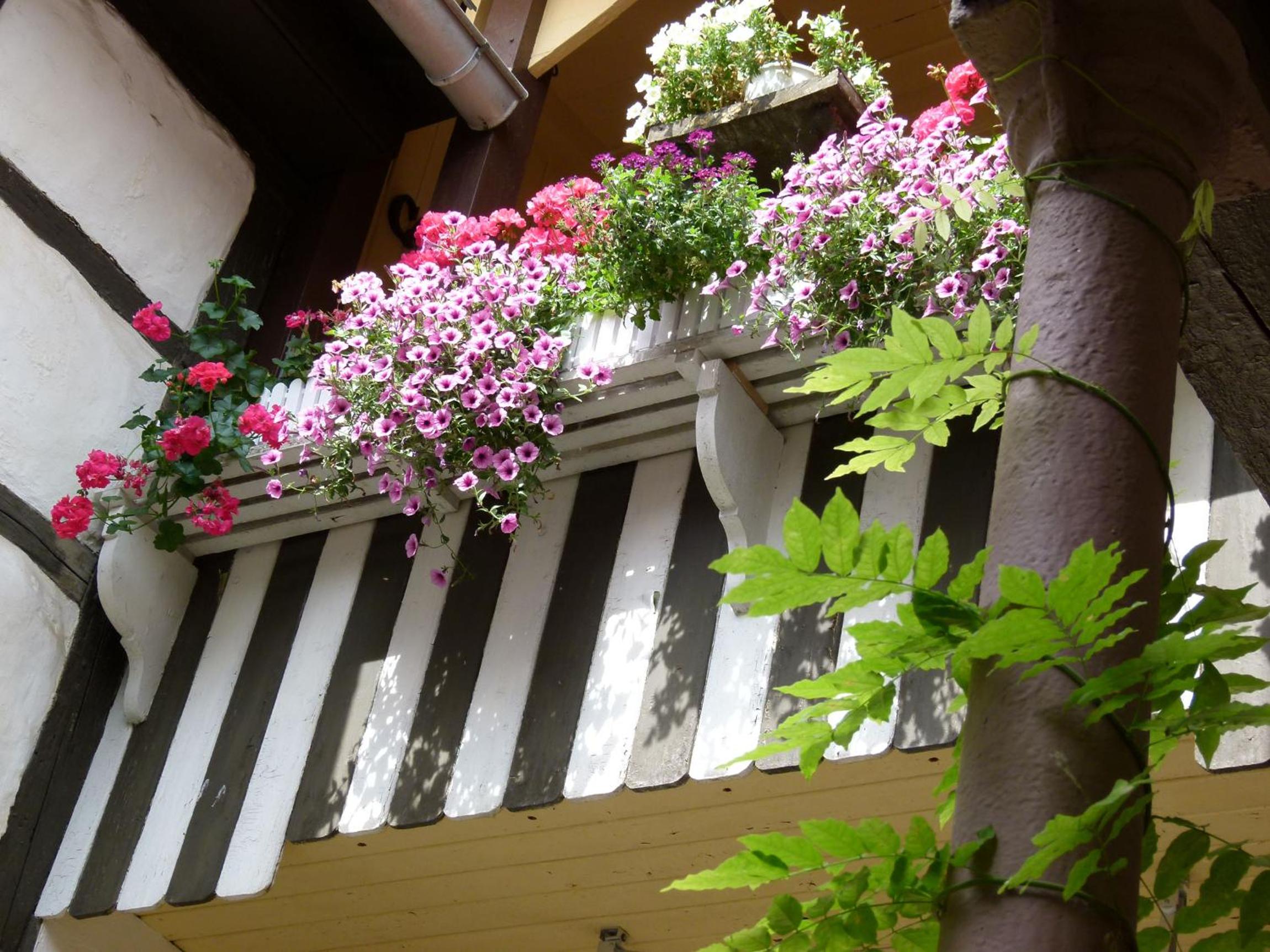 Hotel  Gasthof Garkuche - Property Image 1