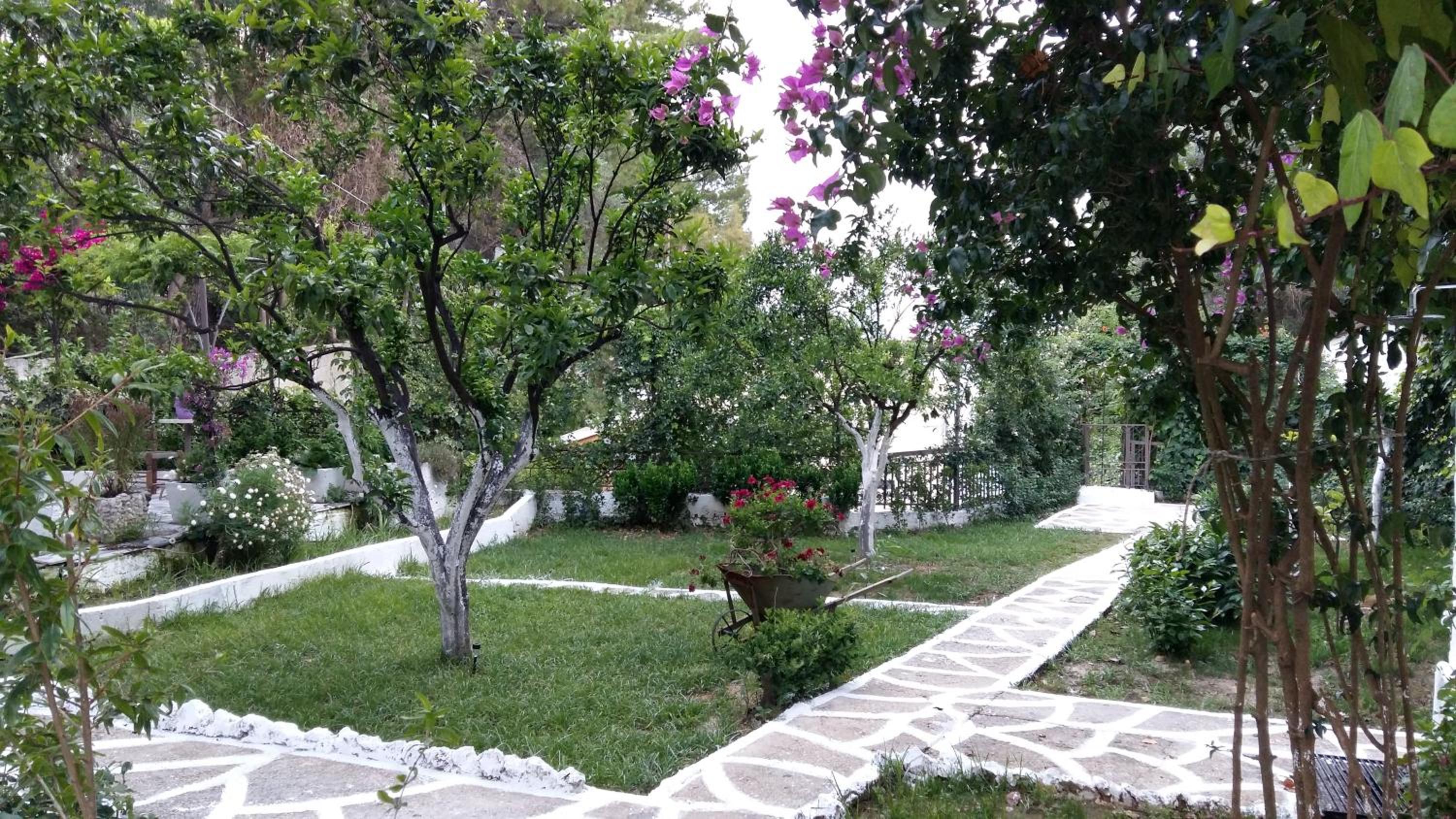 Photo 23