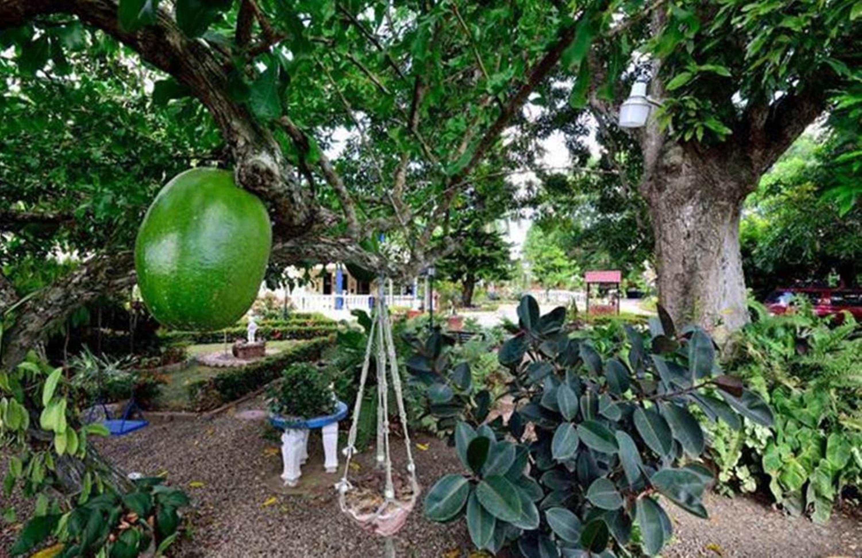 Sana El Jardin Secreto