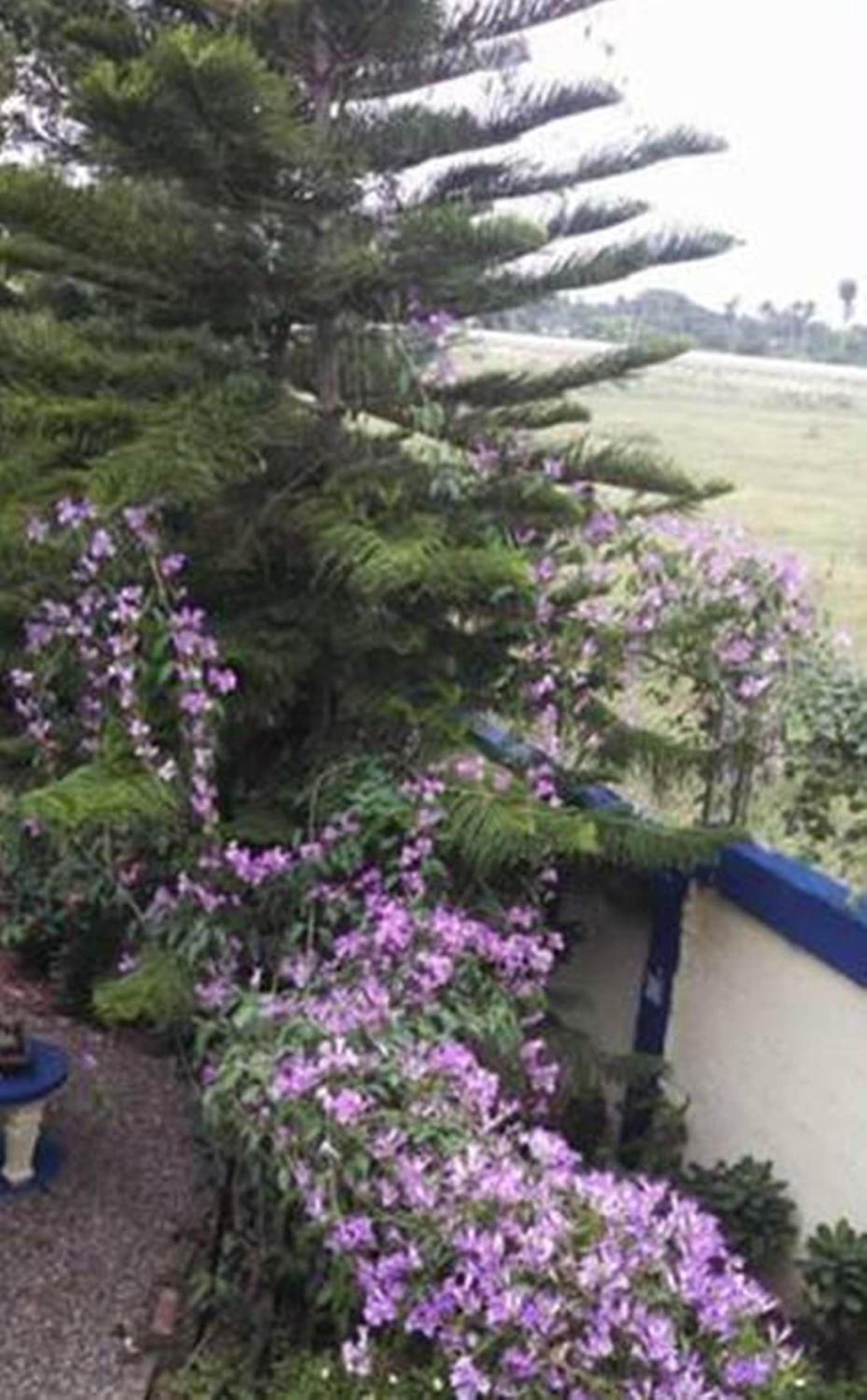 Sana El Jardin Secreto