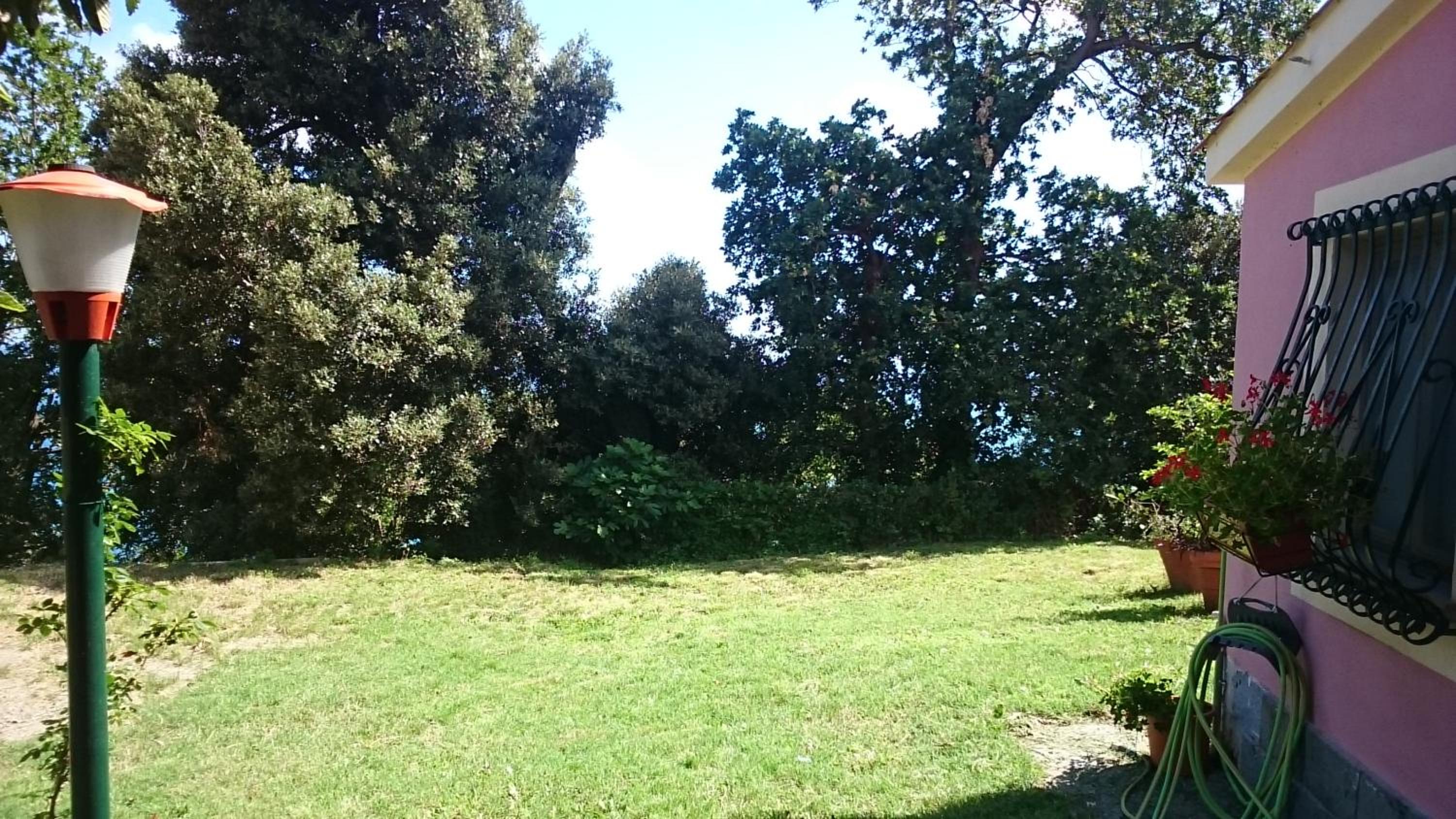 Photo 35