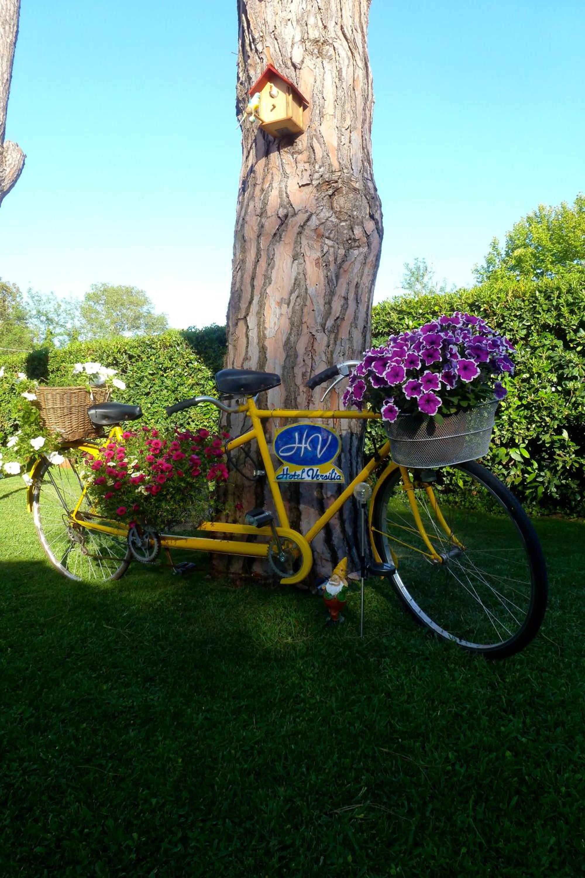 Hotel Versilia