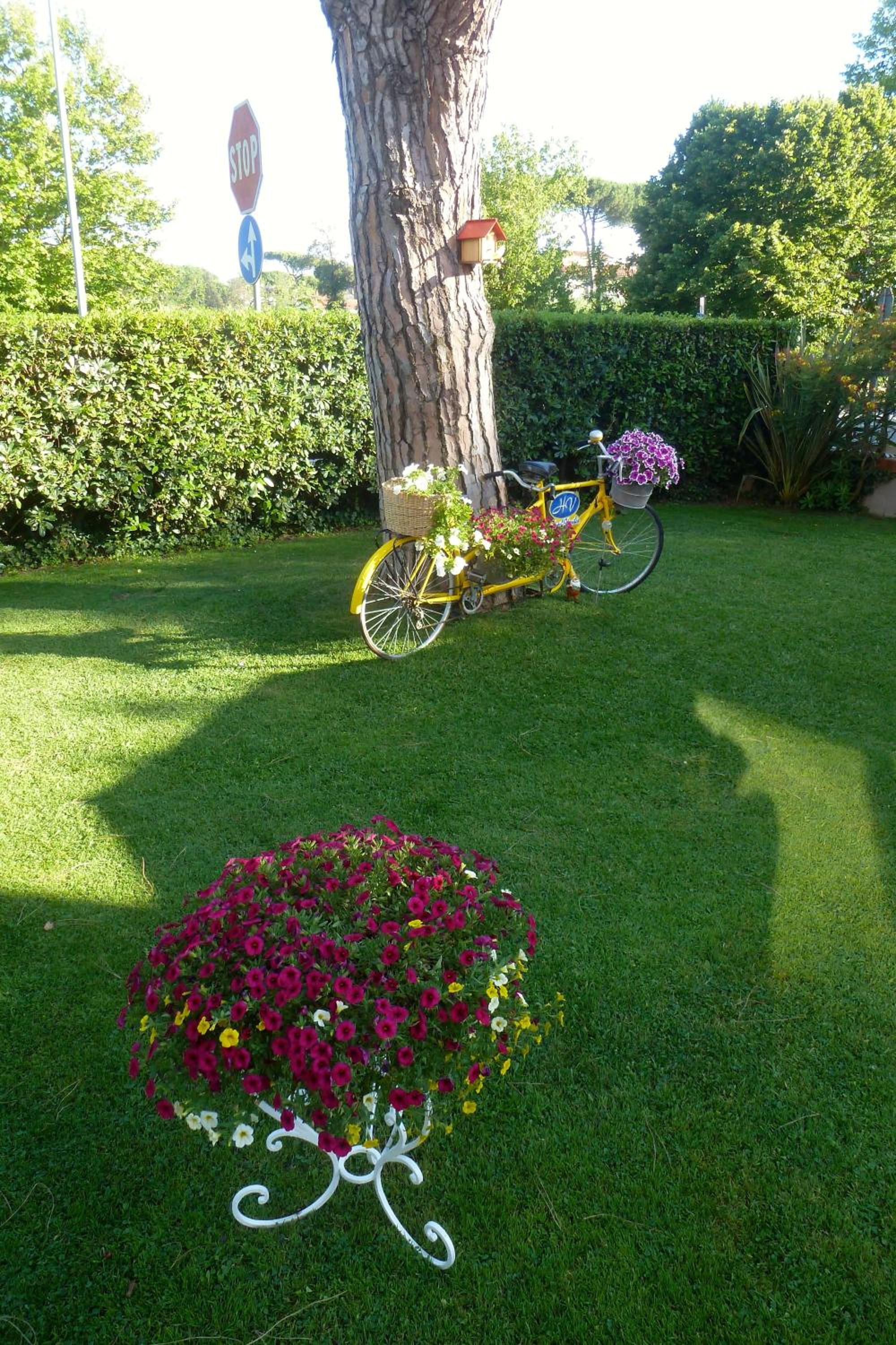 Hotel Versilia