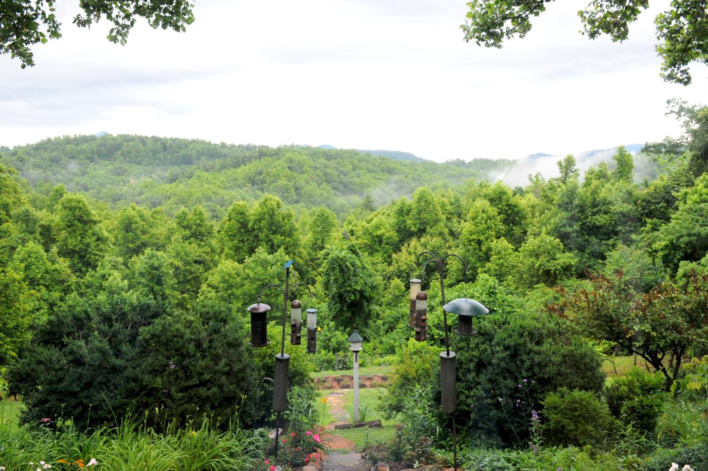 Orchard Inn