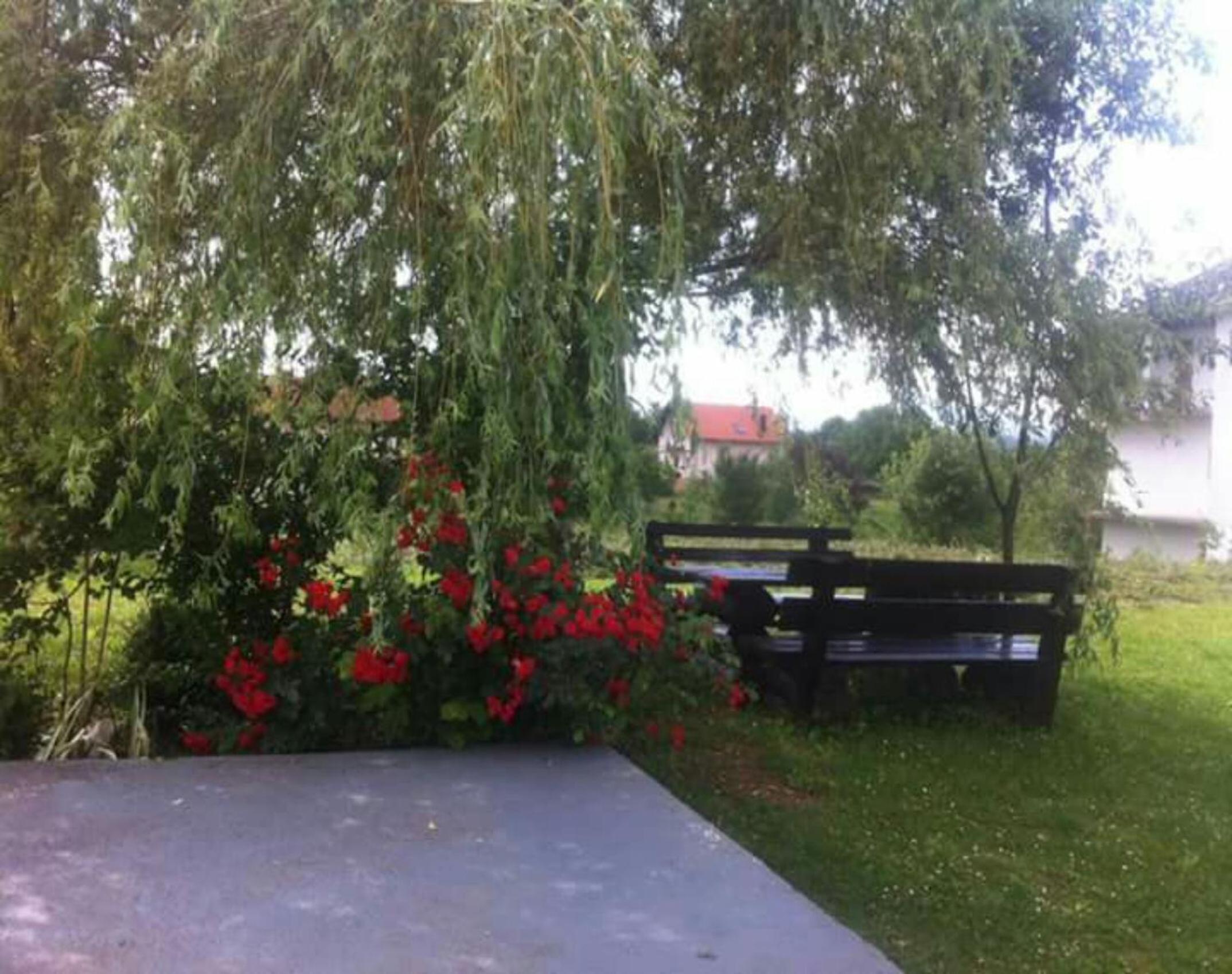 Photo 57