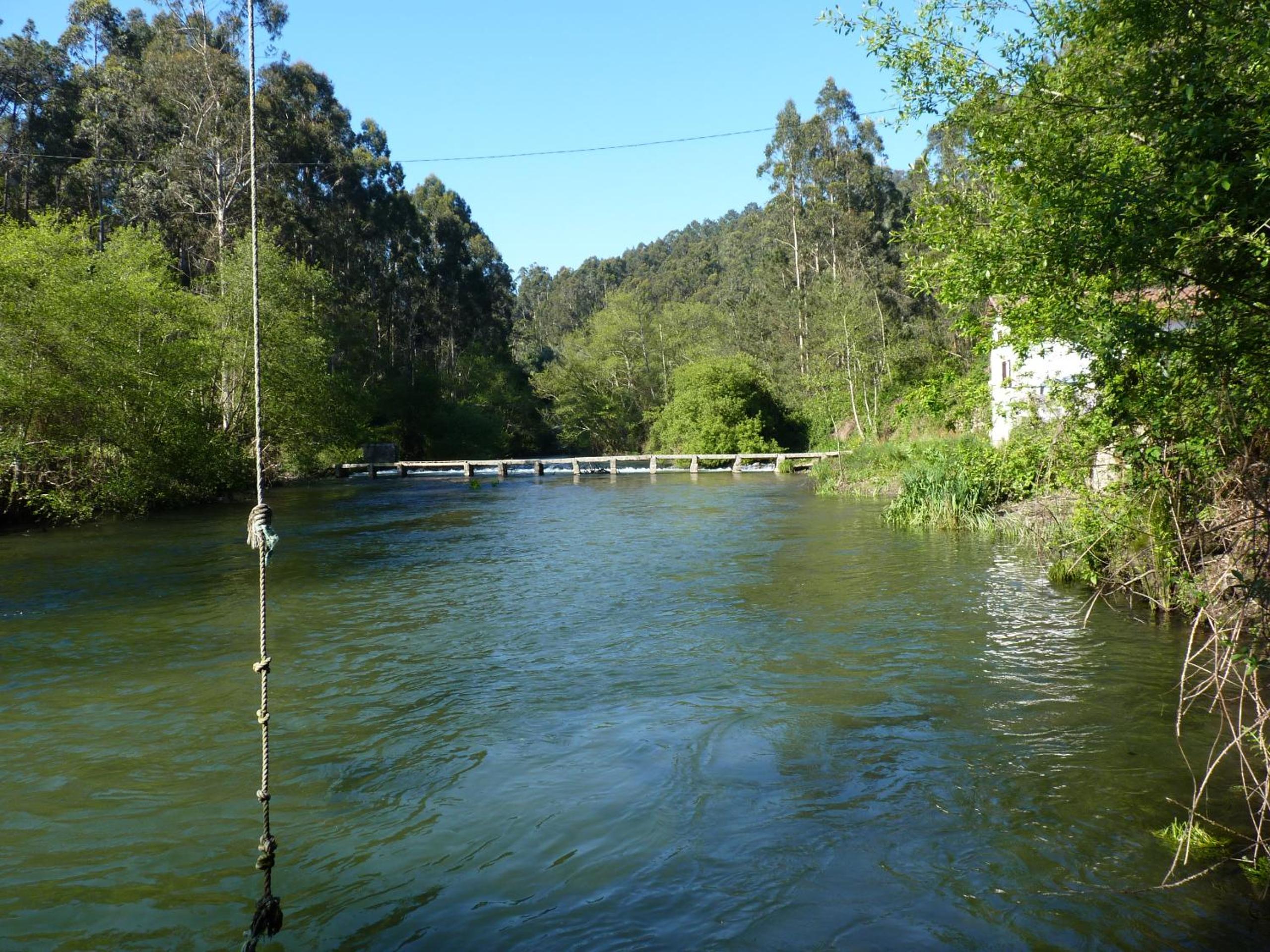 Photo 42