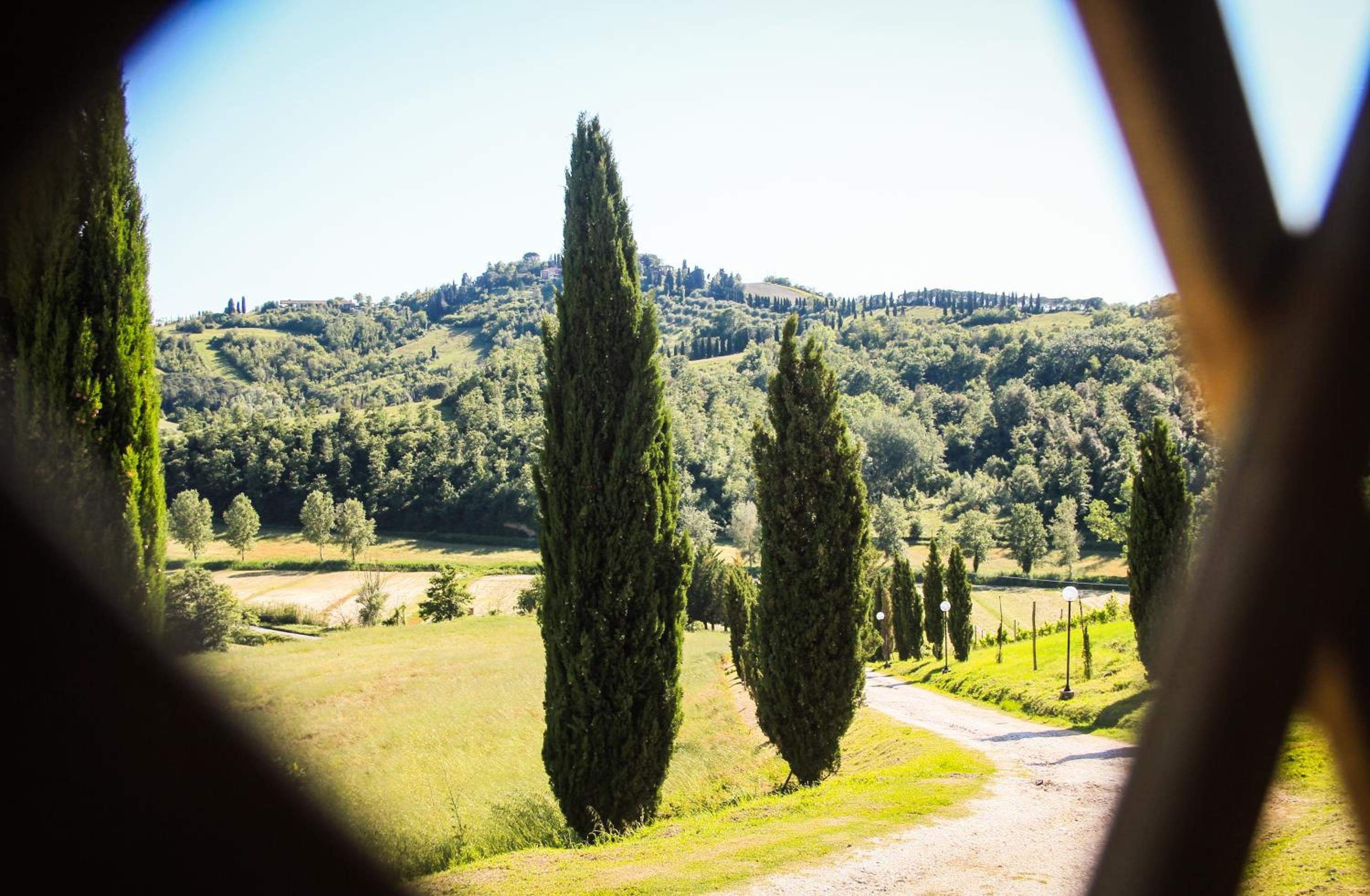 Colle Bertini