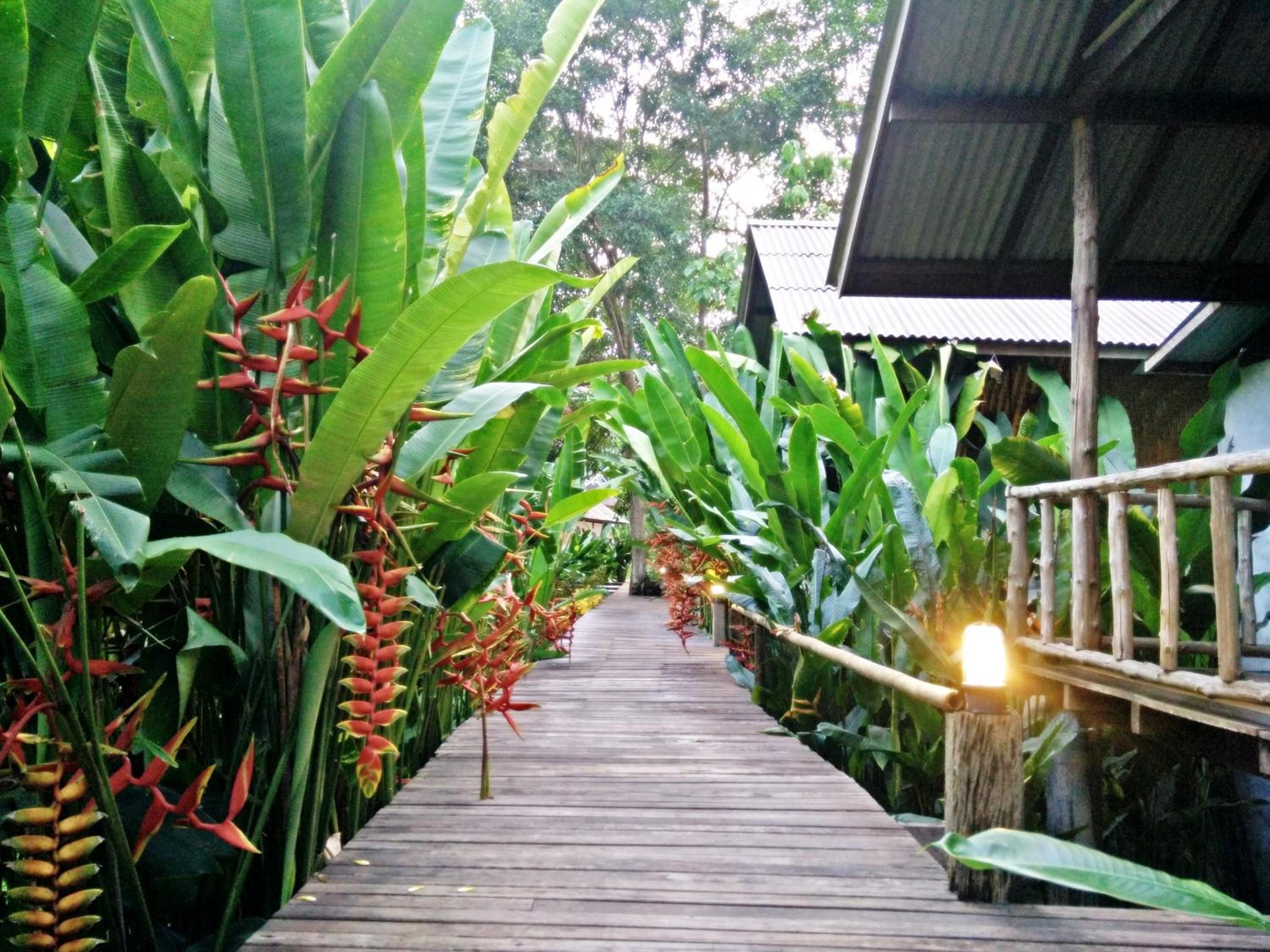 Khao Sok Cabana Resort